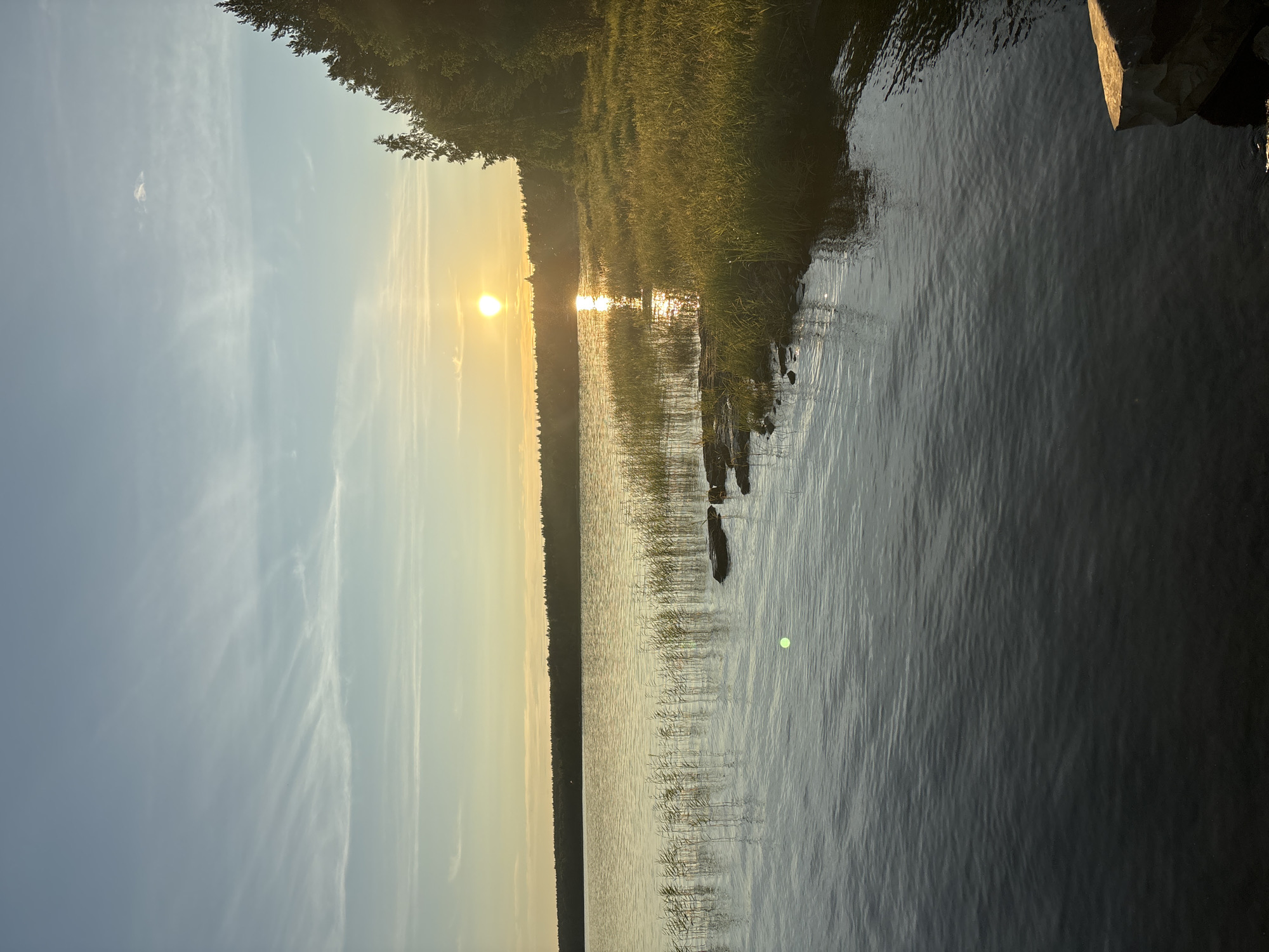 An unobstructed, full vertical shot captures a serene lake at sunset in Shuiskaya Chupa, Russia. The sun, a bright orb, is positioned low in the sky, casting a golden hue across the scene and reflecting on the water's surface. A line of dense coniferous trees forms the far bank of the lake, their dark silhouettes contrasting with the warm light. The foreground features calm water with subtle ripples, transitioning to shallow areas with reeds and rocks near the bank. A patch of tall, sunlit grass grows on the right bank, further illuminated by the setting sun. The sky above is a gradient of pale blue and yellow, with thin, wispy clouds streaking across the horizon. No people are visible in the image.