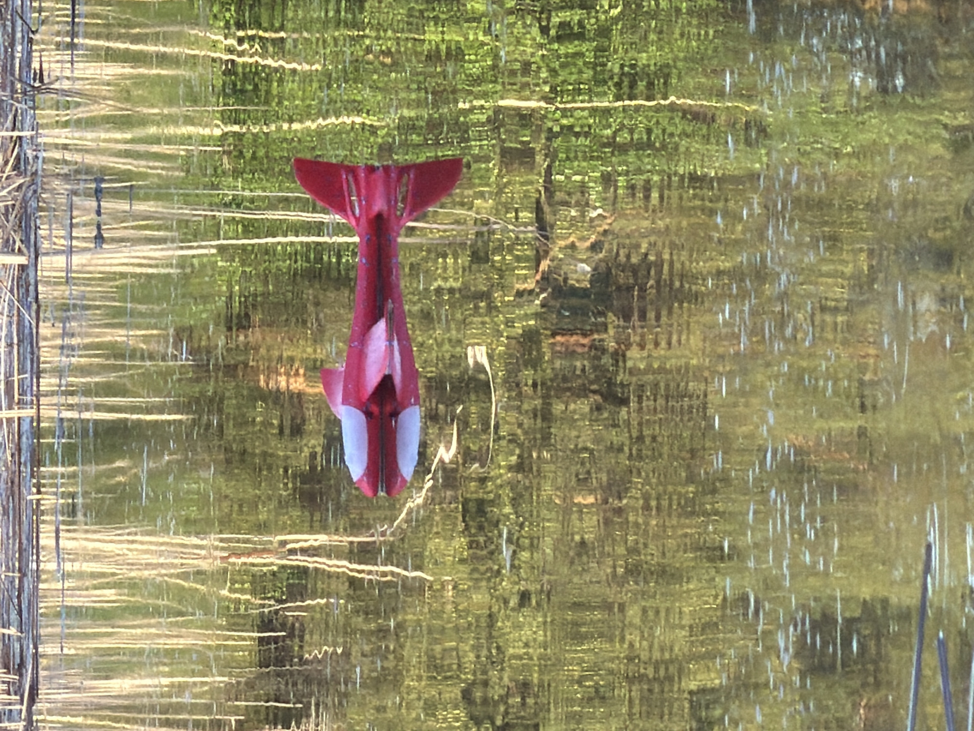 The image is an upside-down view of a body of water, reflecting trees and sky. A red and white object resembling a small airplane or perhaps a bird feeder is situated in the middle of the frame, appearing to float on the water's surface. To the left, there are reeds or grass stalks along the bank. The reflection in the water distorts the light and creates a textured effect. The location is labeled as Unknown, Unknown.