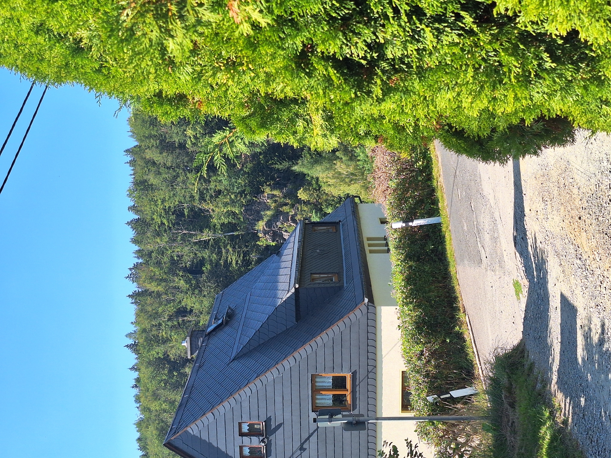 The image captures a residential building with a dark gray slate roof and cream-colored walls, situated on a slightly inclined road in Wolkenstein, Germany. A dense evergreen hedge runs along the front of the property, and a large conifer tree dominates the right side of the frame. The road is paved with asphalt and gravel. In the background, a lush green forest stretches across rolling hills under a clear blue sky. The scene is bathed in sunlight, casting shadows on the road and the foreground vegetation. No people are visible in the image. The overall impression is one of a quiet, rural setting.