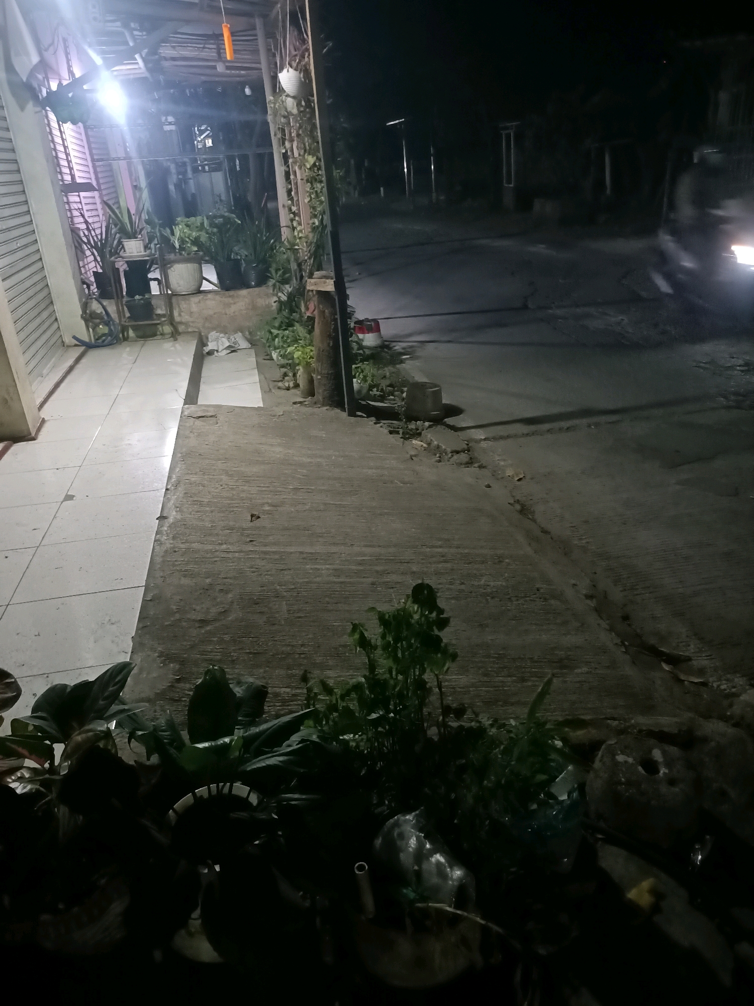 The image captures a dimly lit scene at night, likely in Telagaasih, Indonesia. In the foreground, lush green plants and foliage are visible, some appearing to be in pots. To the left, a tiled walkway leads towards a building with a closed metal shutter. Above the plants and walkway, a rustic roof structure with exposed beams and a bright orange object hanging from it is present. A bright light source illuminates the area from above and to the left, casting shadows.
Beyond this immediate area, a concrete pathway or sidewalk slopes down towards a dark asphalt road. The road appears to be a street with some scattered debris and cracks. In the background, faint shapes suggest buildings and trees, hinting at a residential or commercial area. To the right side of the road, a vehicle's headlights are visible, indicating its presence and movement. The overall atmosphere is quiet and still, typical of a residential street at night.