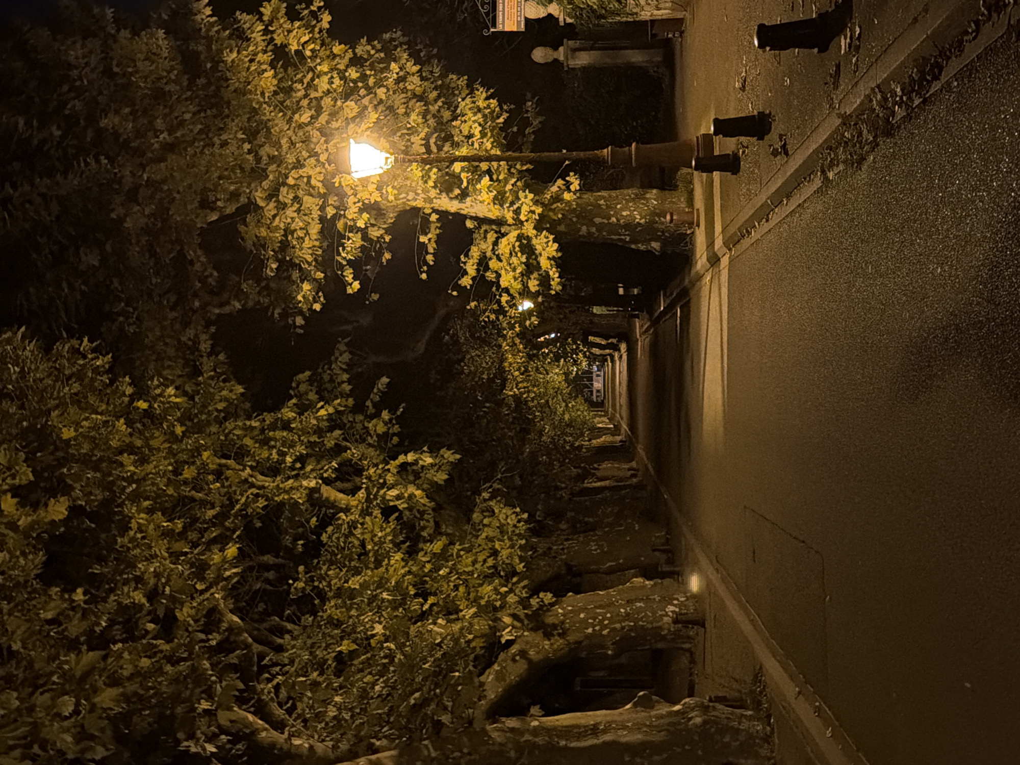 The image depicts a tree-lined street in Viviers, France, at night. A lamppost illuminates the path, casting a warm glow on the golden leaves of the trees. The road is paved and appears to be wet, reflecting the streetlights. The trees, with their thick, textured bark, line both sides of the road, creating an archway effect. In the background, there are glimpses of buildings and possibly a fence, suggesting a residential or historical area. The overall atmosphere is serene and somewhat mysterious, with the darkness of the night contrasted by the artificial lighting.
