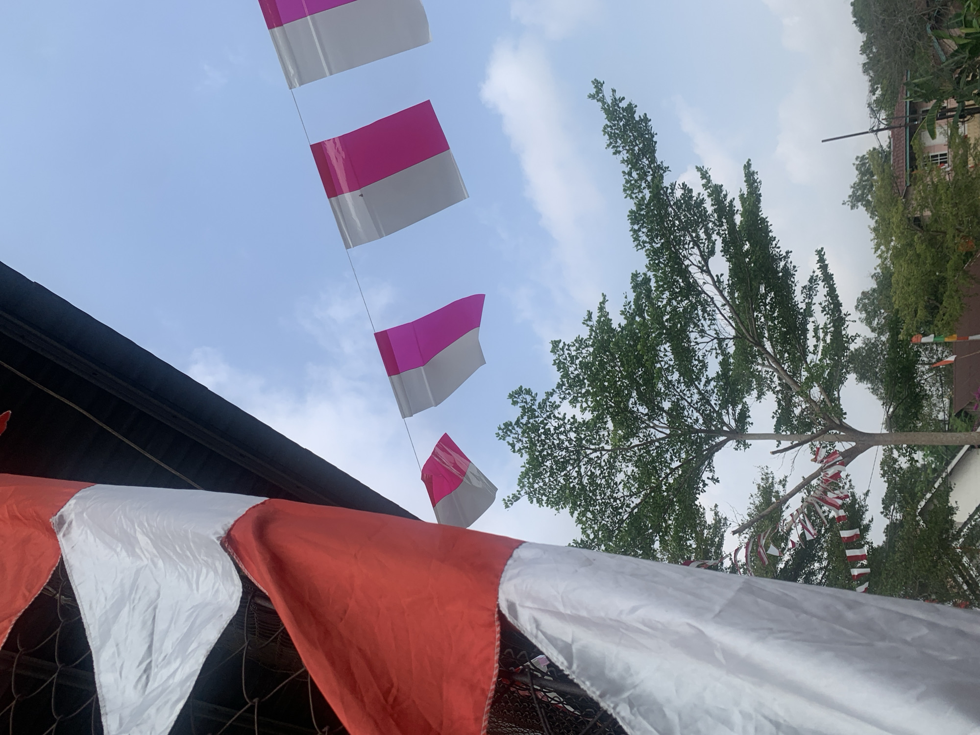 This image captures a close-up view of Indonesian flags, featuring red and white stripes, against a bright blue sky with scattered clouds. In the foreground, a large red and white flag billows to the left. In the mid-ground, a string of smaller flags, alternating pink and white, is strung across the frame. A leafy green tree with dark branches dominates the middle of the image, with more trees and a residential building with a pink exterior and a brown roof visible in the background. The scene is likely set outdoors, possibly in a residential area or public space in Palembang, Indonesia, given the prominence of Indonesian flags. The overall impression is one of a festive or celebratory atmosphere.