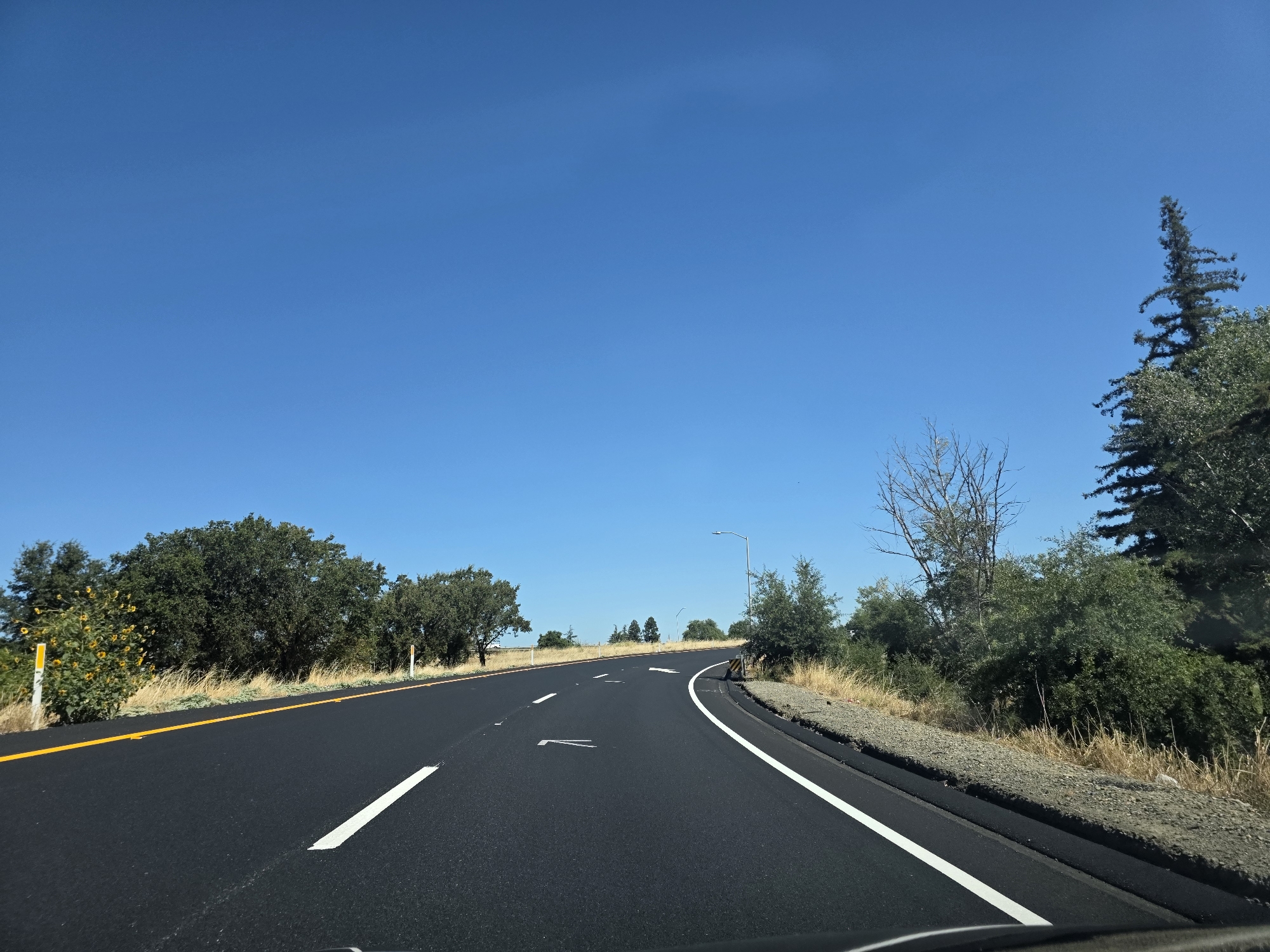 The image captures a clear, sunny day on a two-lane highway in West Sacramento, California. The road is asphalt, freshly paved, with distinct white lane markings and a yellow line delineating the edge of the road. On the left side, there is a grassy verge with scattered yellow wildflowers and trees. On the right side, the terrain slopes upwards, covered with dry grass and various trees and bushes. A street light is visible in the distance on the right. The sky is a vibrant, cloudless blue. The perspective suggests the photo was taken from inside a vehicle, looking forward along the road as it curves to the right.
