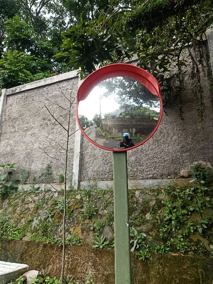 A convex safety mirror with a red frame and green pole stands amidst greenery. The mirror reflects a road curving uphill and the photographer. A stone wall covered in moss and small plants forms a backdrop, with trees and branches overhead. A bare tree stands to the left of the mirror. The overall scene appears to be a quiet, overgrown roadside area.