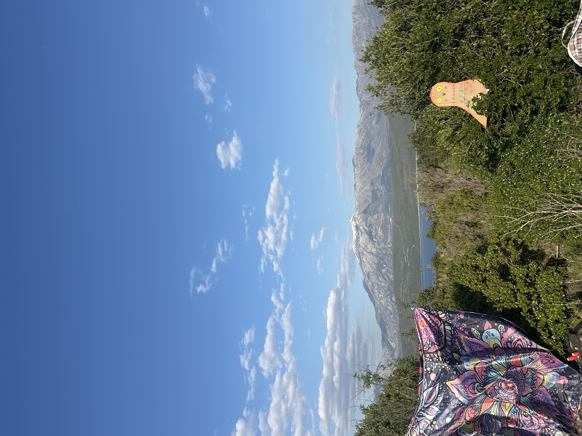 The image depicts a landscape with a clear blue sky and scattered white clouds. In the distance, there are mountains partially covered with snow. A body of water is visible between the mountains and the foreground. A lush green tree or bush is on the right side of the frame, with a colorful object shaped like a bird nestled within its branches. In the bottom center, there is a brightly colored tapestry or cloth with intricate patterns. The scene appears to be taken from an elevated position, possibly overlooking the landscape. The location is identified as Radovići, Montenegro, based on the known context.