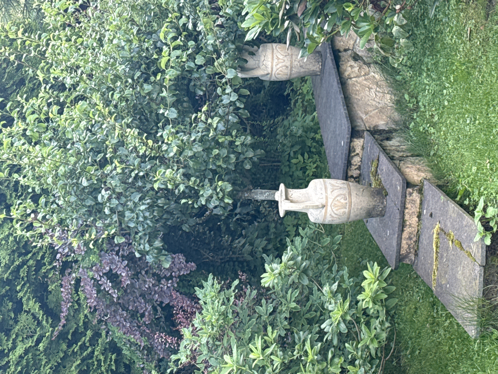 This is a medium shot, eye-level, vertical, outdoor photograph taken in Yukki, Russia. The scene depicts a garden with lush green foliage, including a large, dense tree in the center with abundant leaves. To the left of the tree, there is a bush with dark purple leaves. In front of the tree and to the right, there are two decorative stone urns. The urn on the left is closer to the viewer and features intricate carvings and a handle. The urn on the right is further away and also appears decorative. These urns are placed on a stone ledge which is supported by a stone wall. In front of the ledge, there are two stone steps descending into a grassy area covered with green grass and some moss. The lighting suggests it is daytime, possibly overcast or shaded, as there are no harsh shadows. The overall impression is one of a tranquil, cultivated garden space.