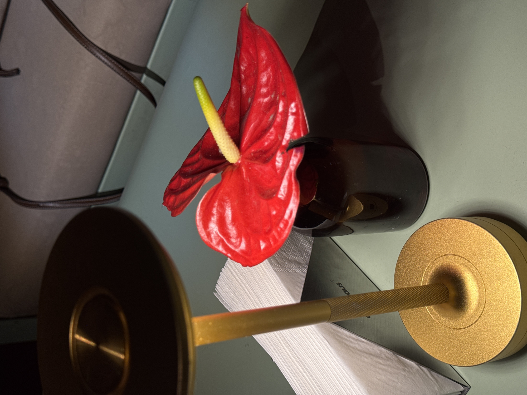 The image shows a still life composition. A single red anthurium flower with a yellow spadix is placed in a dark brown vase. The vase rests on a stack of white napkins. A golden colored metal object, possibly a napkin holder or decorative item, is positioned in front of the napkins. The background has neutral tones, suggesting a table or countertop. The lighting is soft and diffused.
This photo was taken in Yerevan, Armenia.