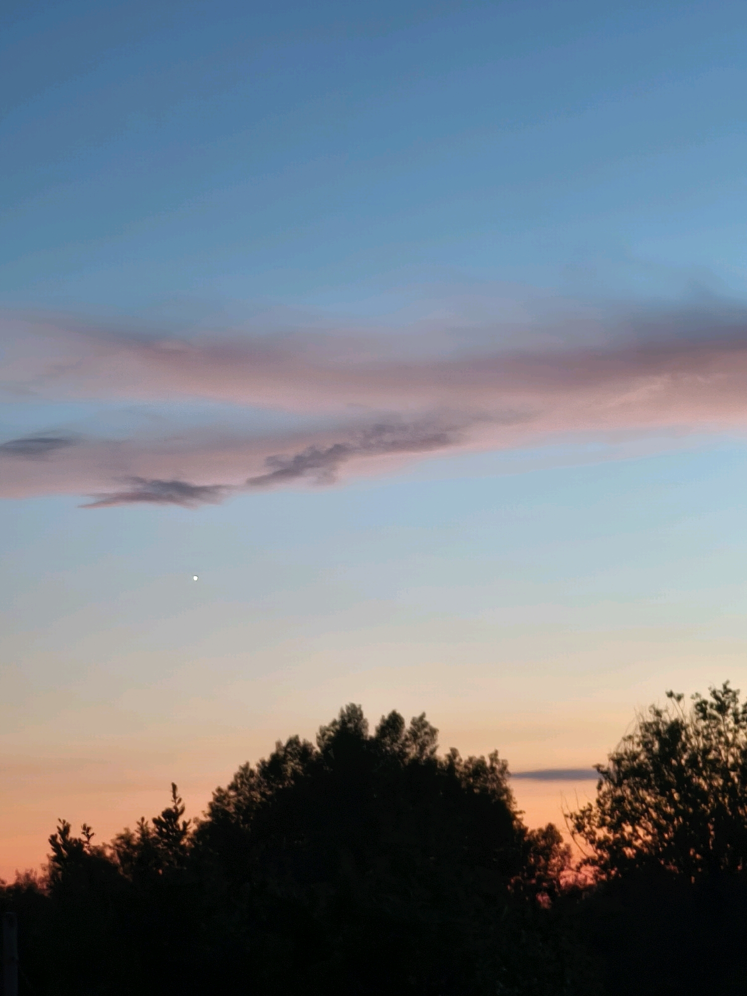 The image depicts a dusk sky over Passignano sul Trasimeno, Italy. The sky transitions from a light blue at the top to shades of orange and pink near the horizon. A long, thin cloud with pink and gray hues stretches horizontally across the upper portion of the frame. A small, bright, crescent-shaped object, likely the moon, is visible in the sky. Silhouetted against the colorful sky are the tops of trees, forming a dark, irregular line across the lower third of the image. The trees appear dense and varied in height. The scene is tranquil, with no people or active subjects present. The environment is natural, dominated by the sky and vegetation.