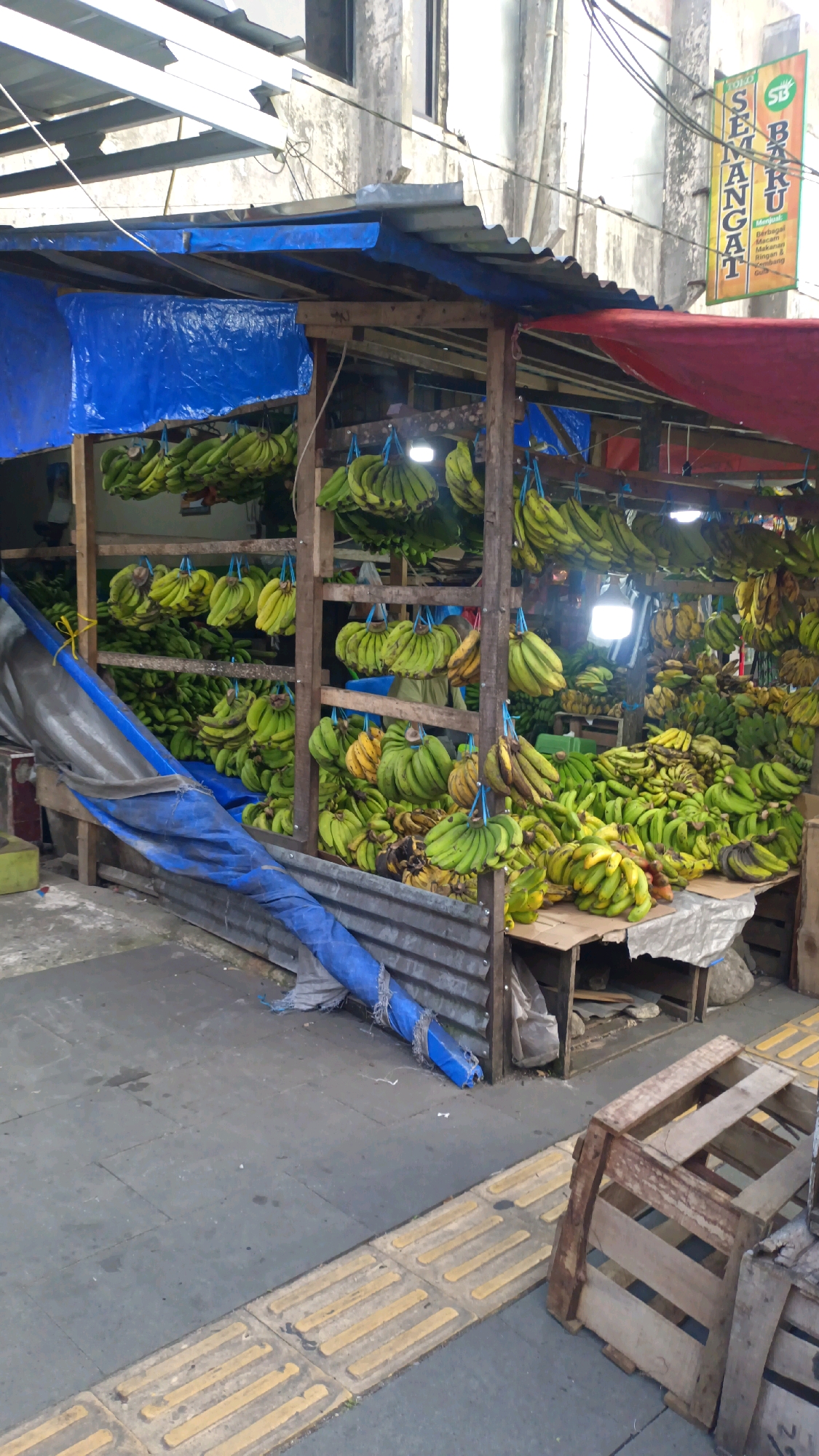 A street-side banana stall is depicted in Padang Panjang, Indonesia, with a focus on the abundant display of bananas. The stall is constructed from rough wooden beams and corrugated metal sheeting, with blue and red tarpaulins serving as makeshift awnings to shield the produce from the elements. Bunches of green and yellow bananas are meticulously arranged, hanging from the ceiling and piled high on wooden planks and in crates. Some bananas appear to be ripe, with a yellowish hue, while others are a vibrant green, indicating varying stages of maturity.
The ground in front of the stall is paved with concrete tiles, and a tactile paving strip, commonly found in public areas to guide visually impaired individuals, is visible along the edge of the sidewalk. A wooden pallet, partially dismantled and appearing weathered, sits near the foreground to the right. In the background, the facade of a building with a textured, possibly concrete or stucco finish, is visible. A sign, partially obscured by wires, hangs from the building, bearing the text "SB BARU SEMANGAT" and some smaller Indonesian script. The scene suggests a typical urban market environment in Indonesia, characterized by open-air stalls and the vibrant presentation of fresh produce. No people are clearly visible in the image.