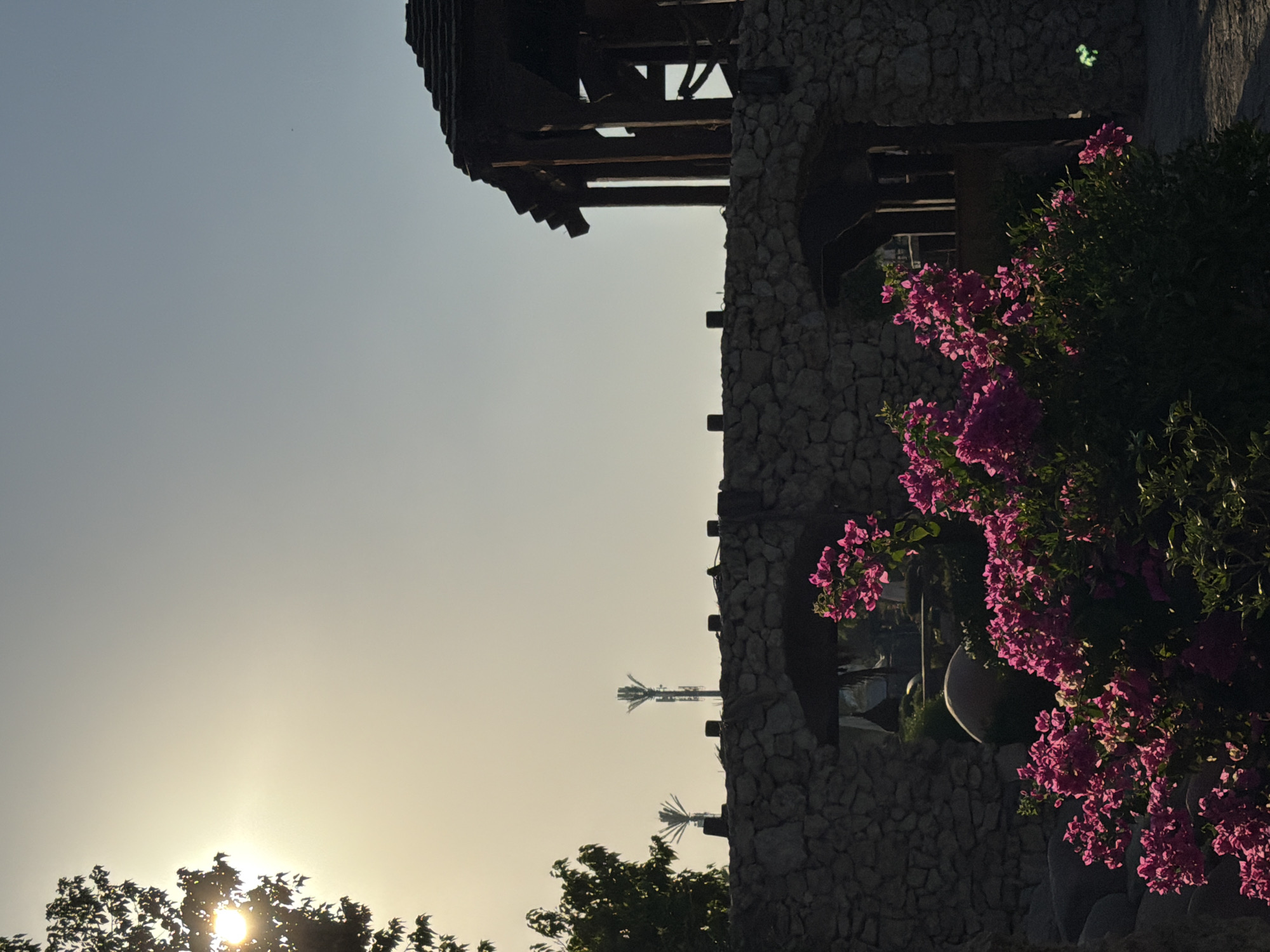 A sun-drenched, slightly hazy outdoor scene features a stone wall in the foreground, adorned with bright pink bougainvillea flowers. Behind the wall, a dark wooden structure with a tiered roof is visible on the right. In the distance, silhouetted against the bright sky, are three tall communication towers. The sun, a bright orb, is partially obscured by the leaves of a tree on the left side of the image. The overall impression is of a tranquil, warm day in an outdoor setting, potentially a resort or park in Sharm El Sheikh, Egypt.