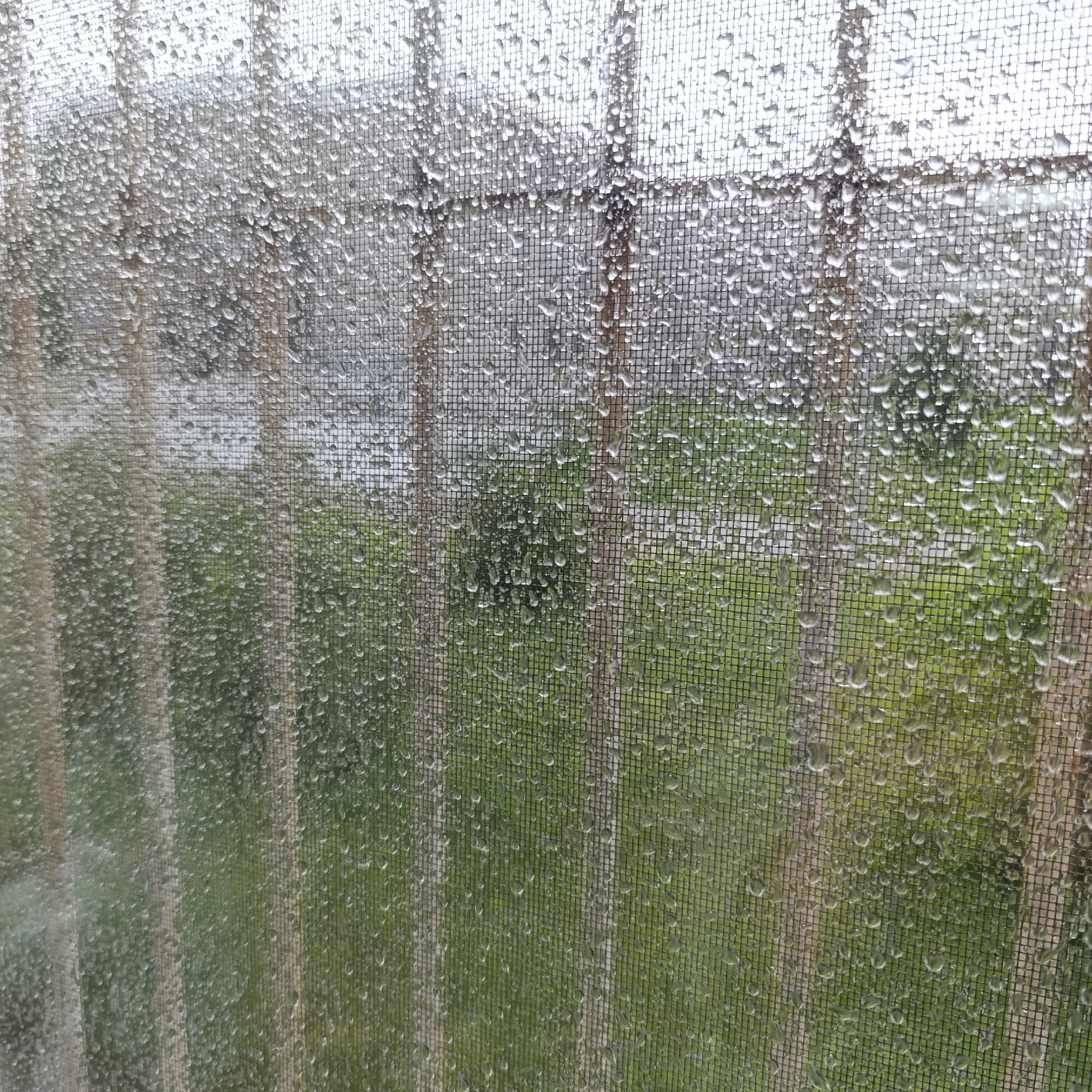 The image shows a view through a rain-covered window screen. The screen is a fine grid pattern, with water droplets clinging to the mesh. Through the screen, a blurred scene of a yard with green grass and possibly a building in the background is visible. The scene appears to be overcast, given the diffused lighting. The presence of the window screen suggests an interior location looking outward, Марковский, Russia cannot be determined.