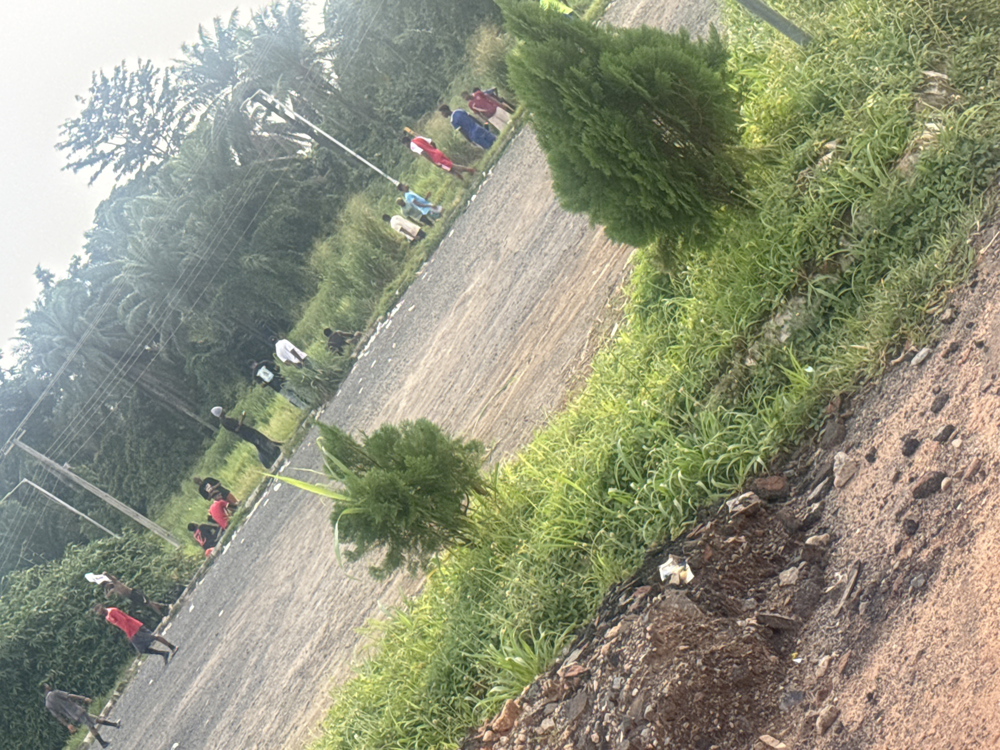 In Awka, Nigeria, a group of individuals, appearing to be young men and boys, are gathered on a dusty, paved road that runs alongside a densely vegetated embankment. The scene is captured from a low angle, emphasizing the road and the overhanging trees. Several individuals are walking or standing on the road, while others are seated or crouched on the grass bordering the road. Clothing colors are varied, including red, blue, white, and black. Some are engaged in what appears to be casual conversation or observation. The environment is characterized by lush green foliage, including palm trees and other dense vegetation, with power lines visible overhead. The ground is a mixture of dirt and gravel, with some scattered debris. A small evergreen shrub is prominent in the foreground on the right, and another on the left, closer to the edge of the embankment.