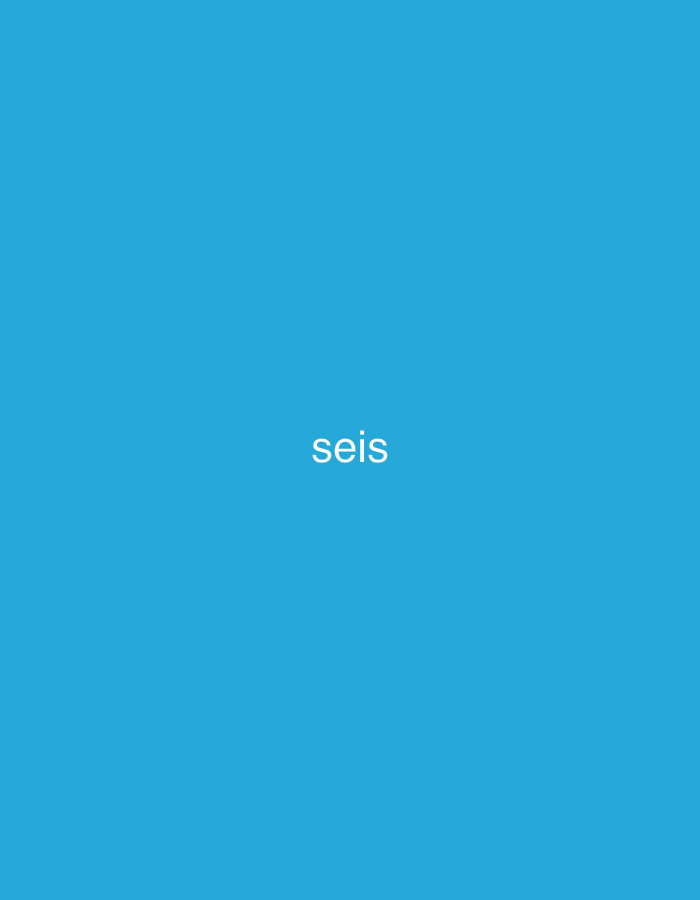 The image displays a plain, vibrant blue background. Centered horizontally and vertically on this monochromatic field is the word "seis" written in white, lowercase letters. There are no other discernible subjects, objects, or environmental details present. The image is minimalist, focusing solely on the white text against the solid blue backdrop.