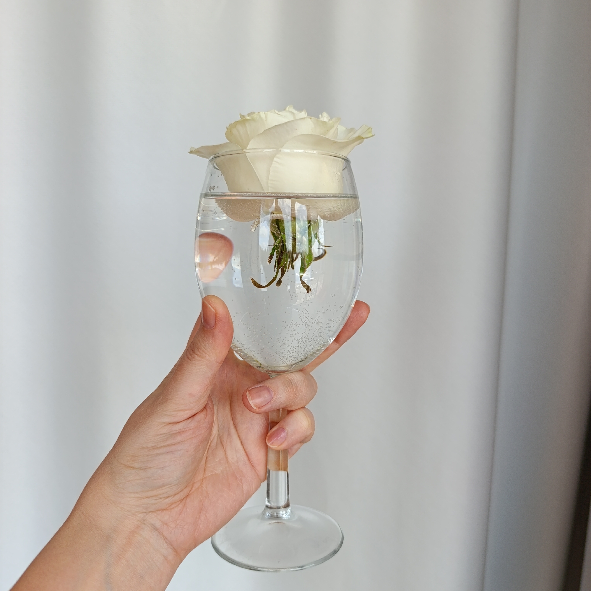 A hand holds a clear wine glass filled with water and a white rose. The rose is submerged partially in the water, with the flower head resting on the rim of the glass. Bubbles are visible in the water, concentrated near the bottom of the glass. The hand appears pale and is slightly wrinkled with short, unpolished fingernails. The background is a plain white or light-colored wall, slightly uneven, possibly a fabric backdrop or curtain. The location is specified as Марковский, Russia.