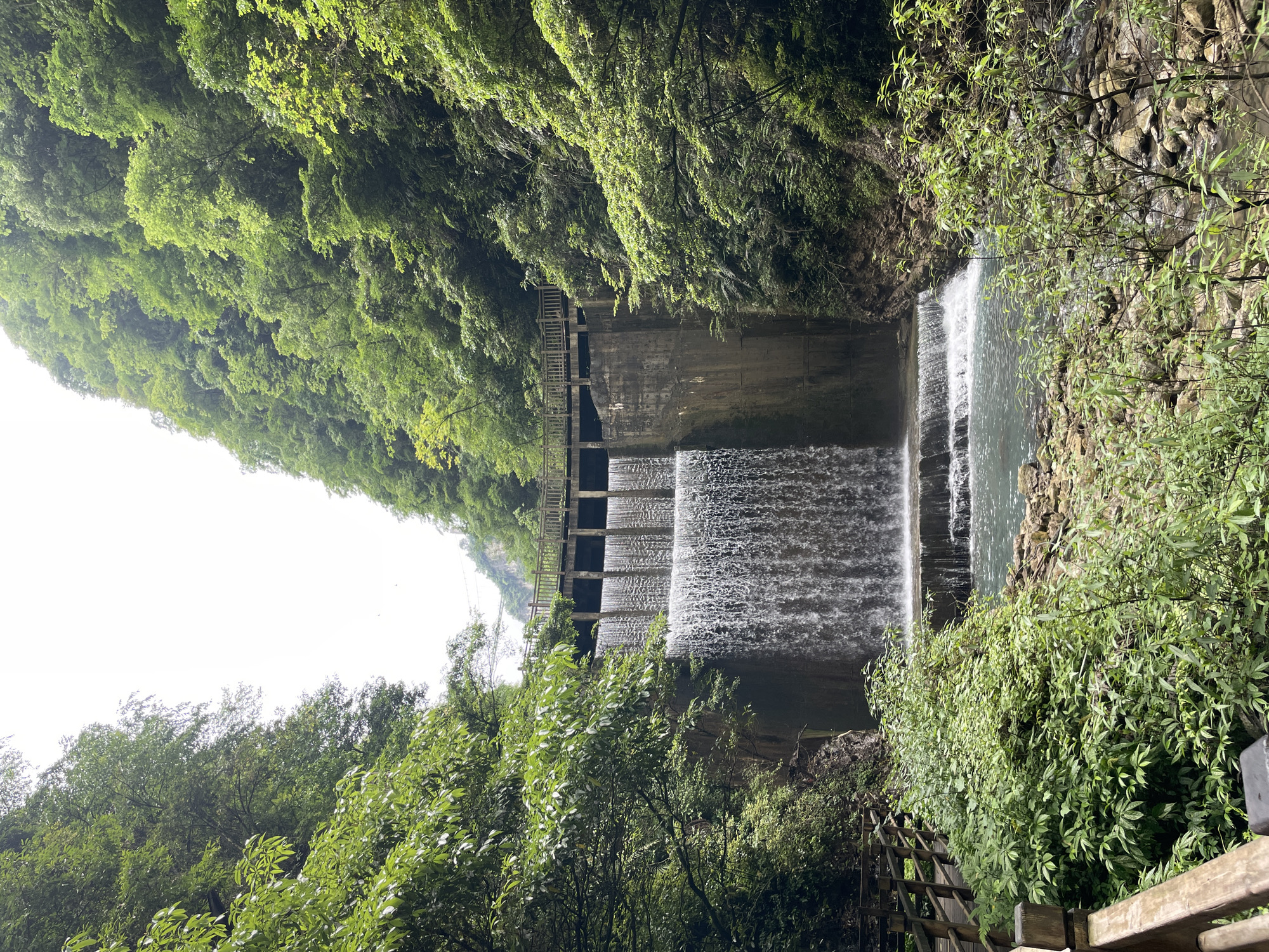 This is an eye-level, outdoor photograph of a tiered waterfall cascading over a concrete dam structure, surrounded by lush green vegetation. The location is in Zhangjiajie, China.
The dam, a grey, aged concrete structure, is divided into multiple horizontal sections, creating a series of cascading waterfalls. Water flows over the dam in a uniform sheet, creating a visual effect of layers. A wooden fence-like structure with crossbeams is visible along the top of the dam.
The dam is nestled within a natural environment. Dense green foliage covers the slopes on either side of the dam. The vegetation appears to be a mix of trees and shrubs.
In the foreground, additional green foliage is present, including leafy bushes and some bare tree branches. In the extreme lower right corner, part of a wooden railing is seen, suggesting the presence of a walkway or viewing platform. The sky above the vegetation appears overcast and grey.