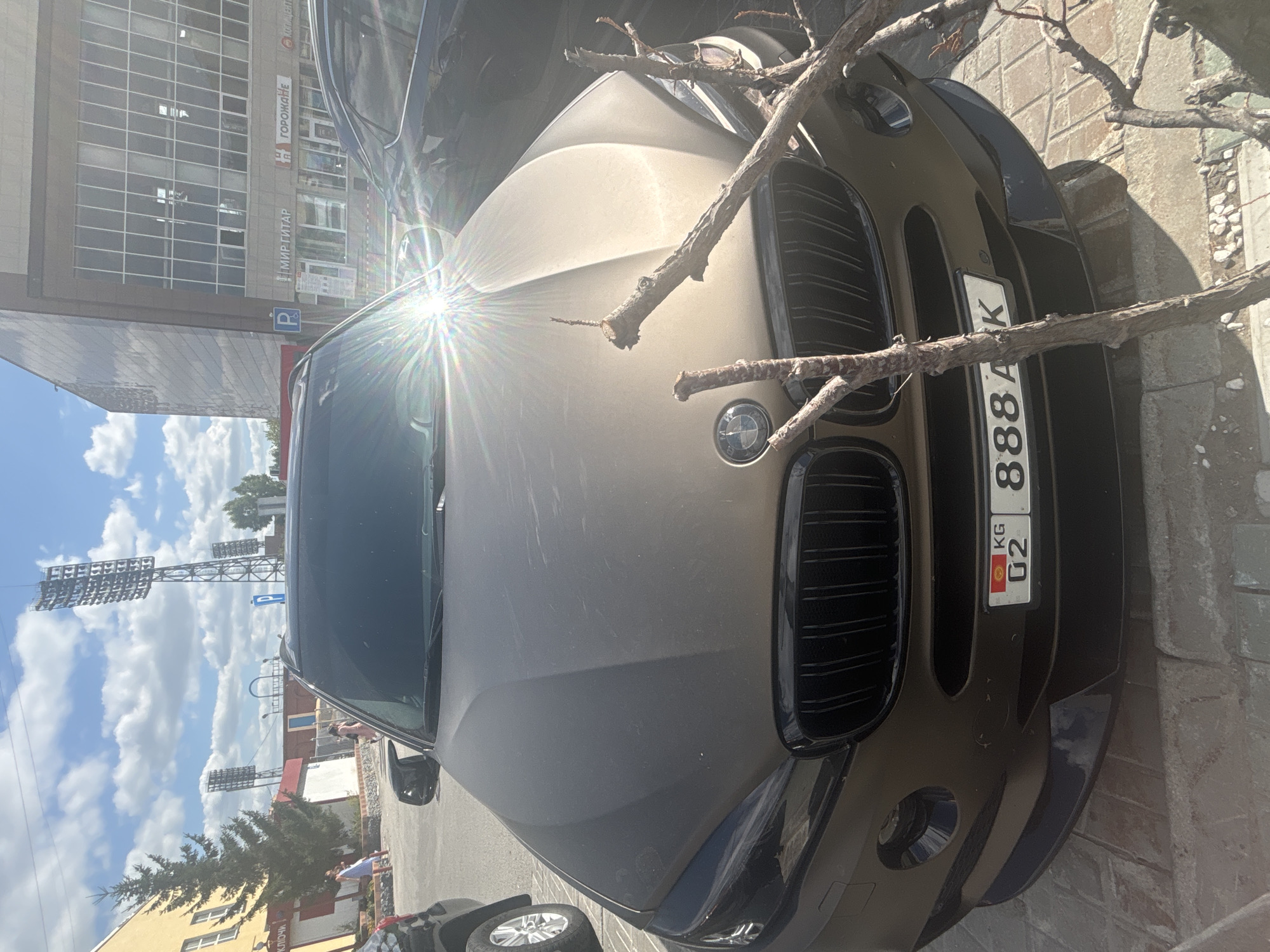 The image shows a brown BMW SUV parked on a sidewalk in front of a modern building in Novosibirsk, Russia. The car's license plate is visible and reads "KG 02 888 AK". The building appears to be a commercial establishment with large windows and several signs, including one that says "МИР ГИТАР" (World of Guitars) and another that says "ГОРОЖАНЕ" (Citizens). In the background, there are stadium lights and a cloudy sky. A few people are visible walking in the distance. The car is partially obscured by tree branches in the foreground. The sun is shining brightly, creating a lens flare effect on the car's hood.