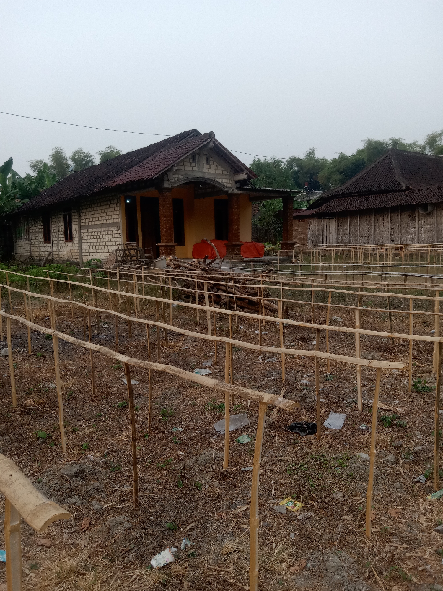 The image depicts an outdoor scene in Jumput, Indonesia, characterized by overcast skies and a somewhat unkempt environment. In the foreground, a series of simple wooden stakes and bamboo poles form a rudimentary structure, possibly intended for cultivation or as a support system for plants. The ground is covered with dry grass, soil, and scattered debris, including pieces of plastic.
Behind this structure, two traditional Indonesian houses are visible. The house on the left is made of light-colored brick with a dark tiled roof and features a covered porch. The house on the right has walls constructed from woven bamboo and a similar dark tiled roof. A satellite dish is mounted on the roof of this second house.
The area surrounding the houses is sparsely vegetated with some trees and foliage, including what appears to be a banana tree to the far left. Piles of wood and orange plastic sheeting are visible near the entrance of the house on the left, suggesting ongoing construction or storage. The overall impression is one of a rural or semi-rural setting, possibly in a state of development or agricultural activity. No people are present in the image.