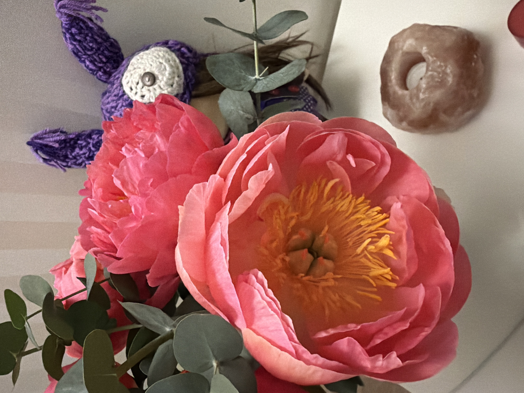 A close-up, eye-level shot features a bouquet of vibrant pink peonies, accented by eucalyptus leaves, set against a white background. A purple crocheted object with a button eye is partially visible behind the flowers on the left. A glazed donut sits to the right of the flowers. The location is not discernible from the image.