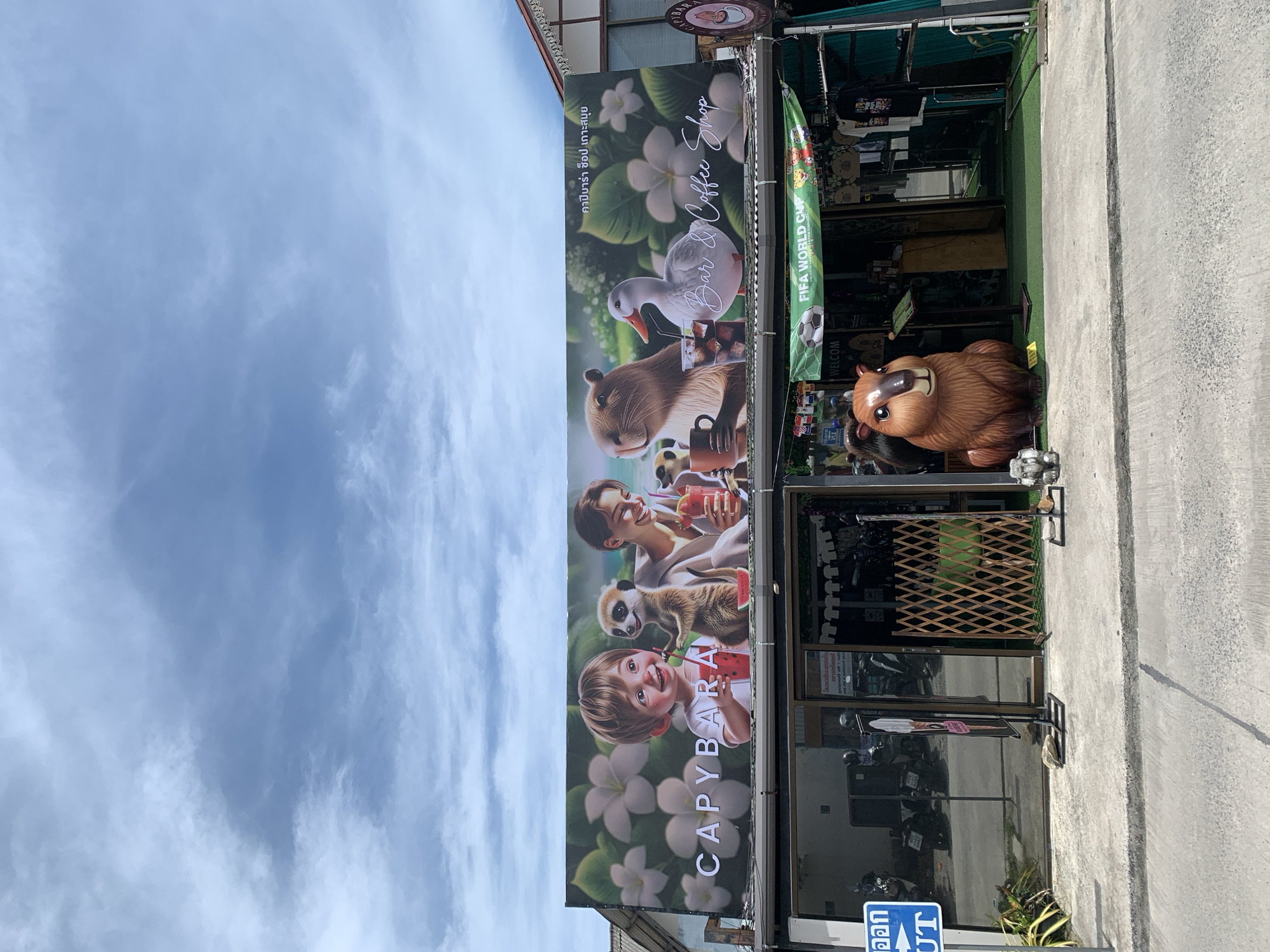 An outdoor shot captures the facade of a shop on a street in Ko Samui District, Thailand, under a partly cloudy sky. Dominating the upper half of the image is a large banner advertisement featuring stylized cartoon-like illustrations of various animals and people. The banner displays the word "CAPYBARA" in large white lettering on the left, with smaller text on the right that appears to be in Thai script, followed by "Bar & Coffee Shop". The illustrations depict a young child with a drink, a meerkat also with a drink, a woman with a drink, a capybara holding a mug, and a duck with a drink. Lush green foliage and white flowers serve as the backdrop for these figures.
Below the banner, the shop entrance is visible. It has large glass windows and doors, revealing the interior where motorcycles are parked. A prominent, large, brown, animatronic-like capybara figure sits to the left of the entrance, partially obscuring the shop's display. To the left of the shop entrance, a blue directional sign with white text and an arrow pointing left reads "OUT". Green artificial turf is laid out in front of the shop, and various items, including clothing racks and banners displaying "FIFA WORLD CUP", are visible inside and just outside the shop. A small elephant statue is positioned near the large capybara figure. The street in front of the shop is paved concrete, with a portion of a road visible.