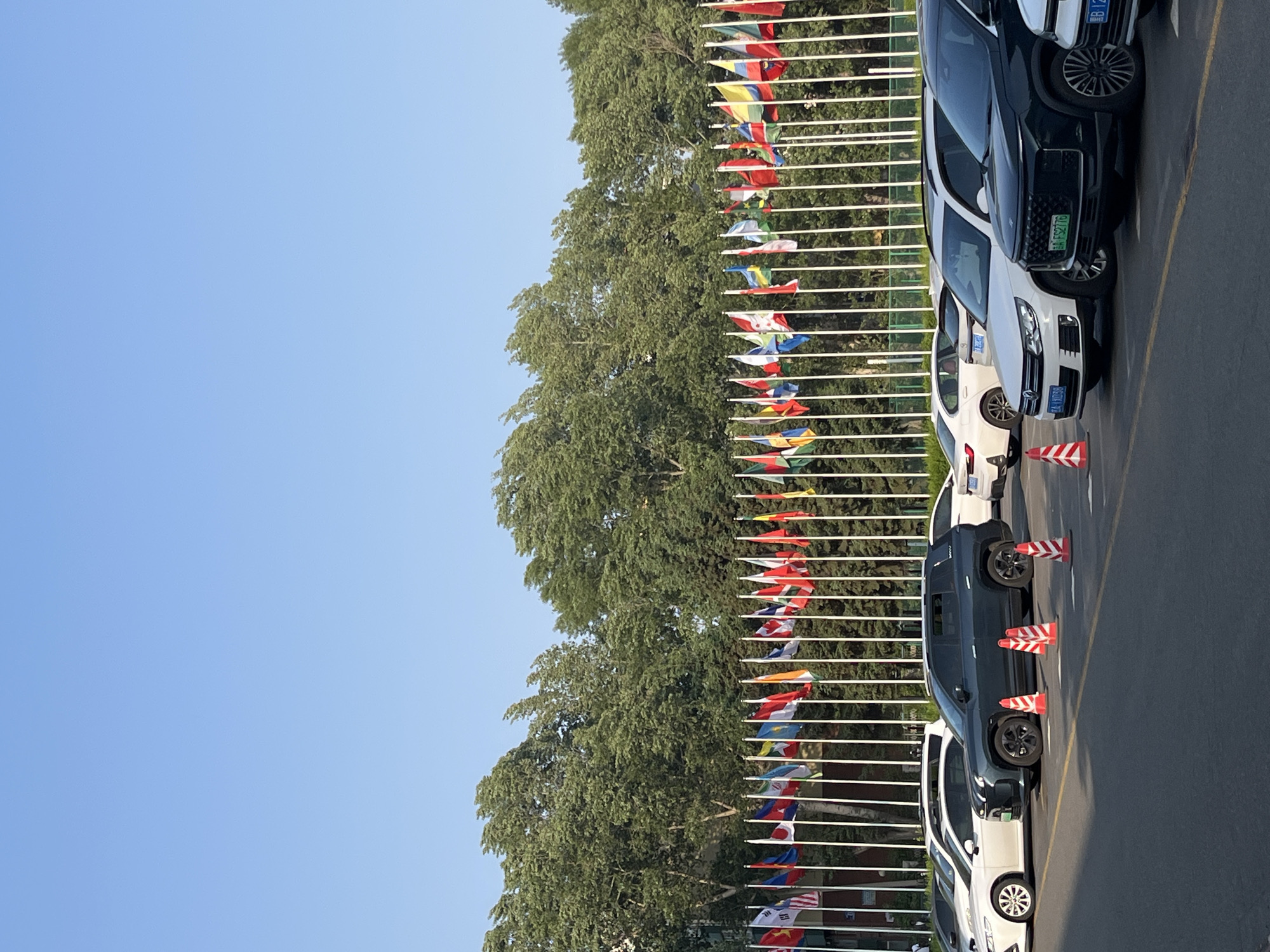 A row of cars parked on an asphalt surface alongside a row of trees and international flags under a blue sky. Several orange and white traffic cones are placed around the cars. This scene is likely located in Changchun City, China, given the context of the flags and the style of the license plates visible on the vehicles.