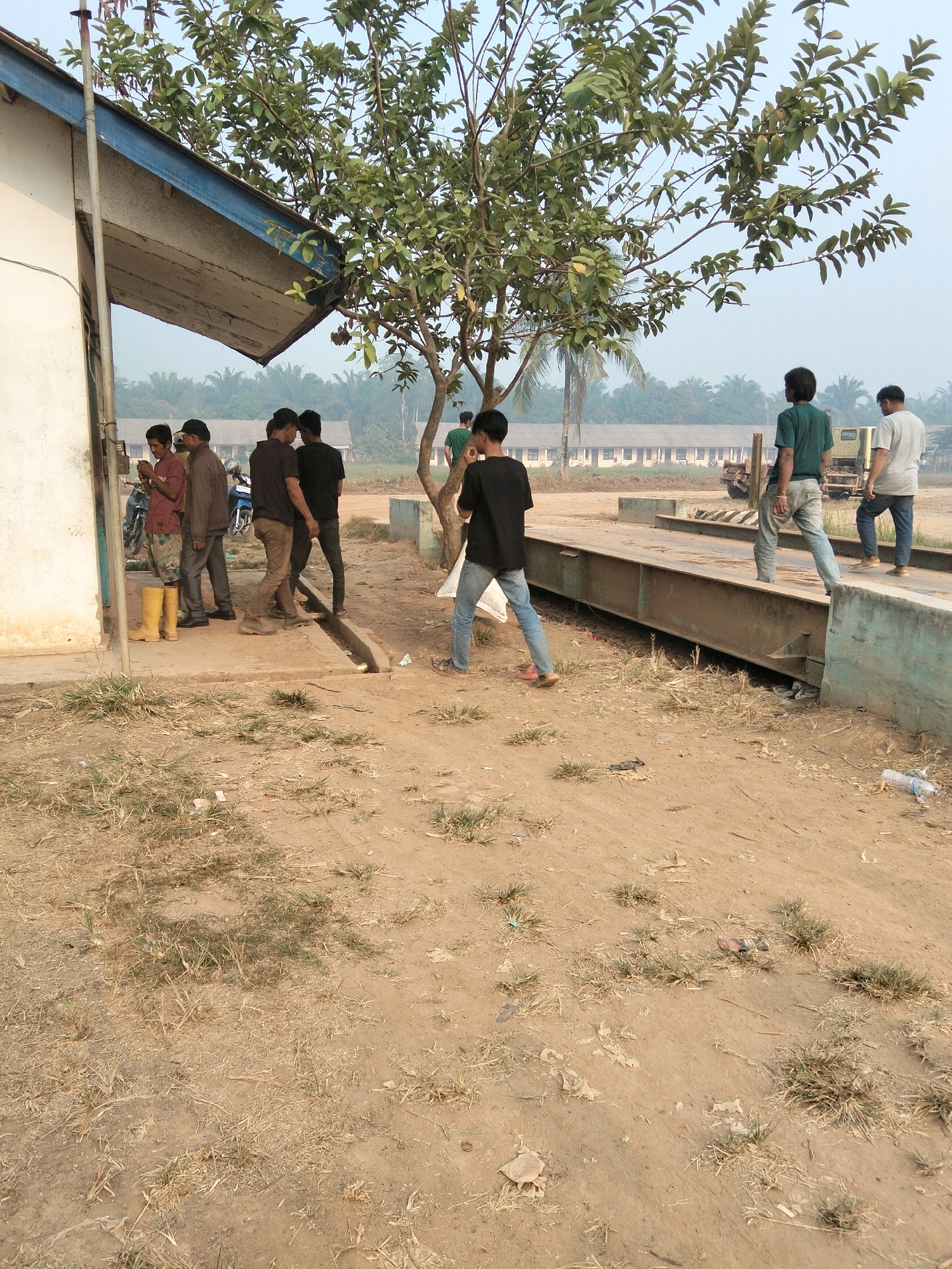 The image depicts an outdoor scene in what is identified as Teluk Tenggirik, Indonesia. The environment is dusty and sparsely vegetated, with dry grass and scattered debris on the ground. In the background, a long, light-colored building with multiple windows and a blue-trimmed roof is visible, likely a school or institutional facility. Palm trees are also present in the distance, suggesting a tropical or subtropical climate.
In the foreground and midground, several individuals are present. To the left, near a white building with a blue overhang, a person wearing yellow boots and a maroon shirt is visible, along with others in casual attire. A motorcycle is parked behind them. In the center of the frame, a young person in a black t-shirt and jeans is walking. Further to the right, two men are walking on a raised platform that appears to be a scale, possibly for weighing vehicles. One is wearing a green t-shirt and jeans, and the other is in a light grey t-shirt and dark pants. A yellow truck is parked on the platform. A tree with green leaves grows near the platform. The overall impression is of a functional outdoor area, possibly associated with a facility that handles large vehicles or goods.