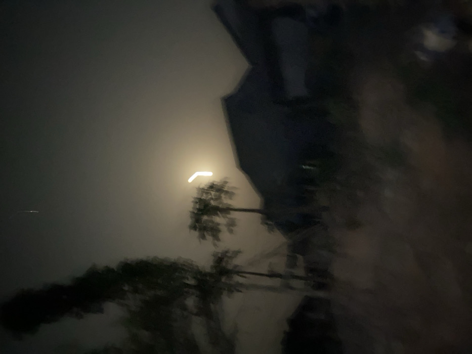 A hazy, nighttime scene features blurred silhouettes of trees against a smoky sky. A bright, indistinct light source illuminates the scene, possibly a streetlight or the moon, with a streak across the top. A dark, indistinct building-like structure appears on the right side. Motion blur affects the whole picture.