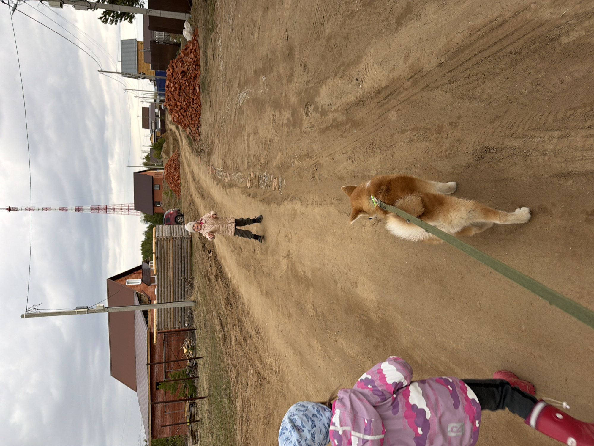 A rural scene near Chaikovsky, Russia shows a dirt road leading towards houses and a brick pile. A young person in a pink and purple snowsuit and a blue hat stands at the bottom of the frame, holding a green leash attached to a dog that is lying on the ground. Further up the road, another child in a light-colored coat and dark pants stands. In the background is a transmission tower and houses with roofs.