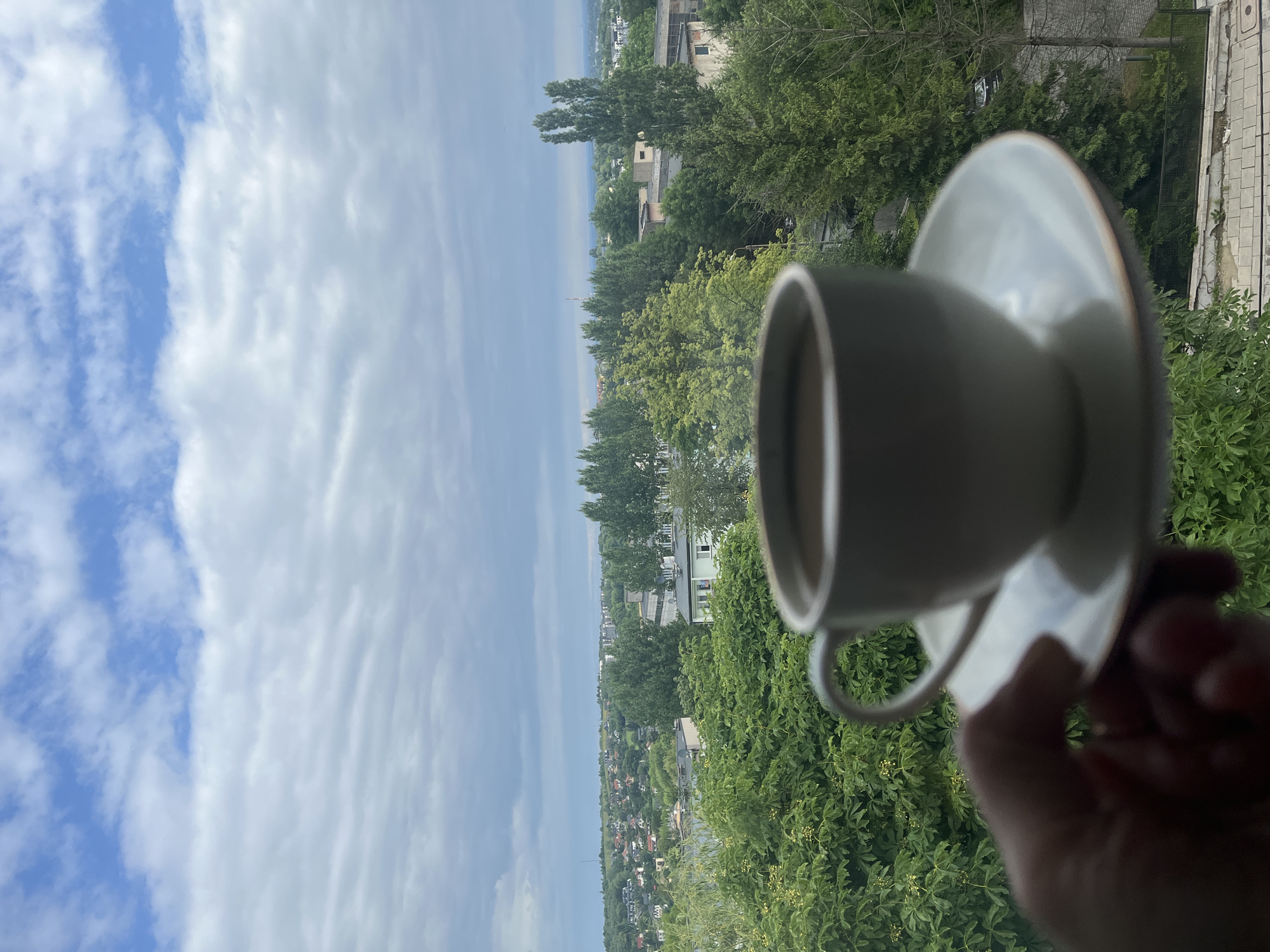 A hand holds a white teacup and saucer filled with coffee, positioned in the foreground against a blurred backdrop of a cityscape and cloudy sky. The cityscape features residential buildings, lush green trees, and some industrial structures. The sky is a mixture of blue and white clouds, suggesting overcast weather. The hand is out of focus, drawing attention to the coffee cup and the distant view.