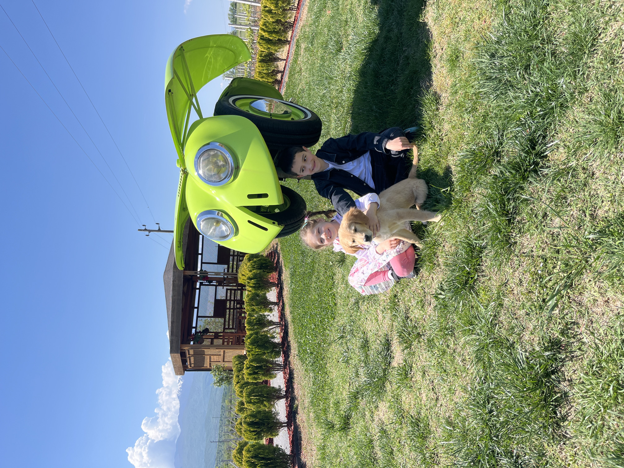 The image shows two children and a golden retriever puppy lying on a grassy lawn. A light green, cartoon-like car is positioned partially above them, angled as if it is tipping over. A wooden gazebo and a row of small evergreen trees are visible in the background. Further in the distance, mountains are seen beneath a blue sky with white clouds. The location is likely Kapatovo, Bulgaria, given the prompt's request to identify it. The children appear to be playing with the puppy near the decorative car on the lawn.