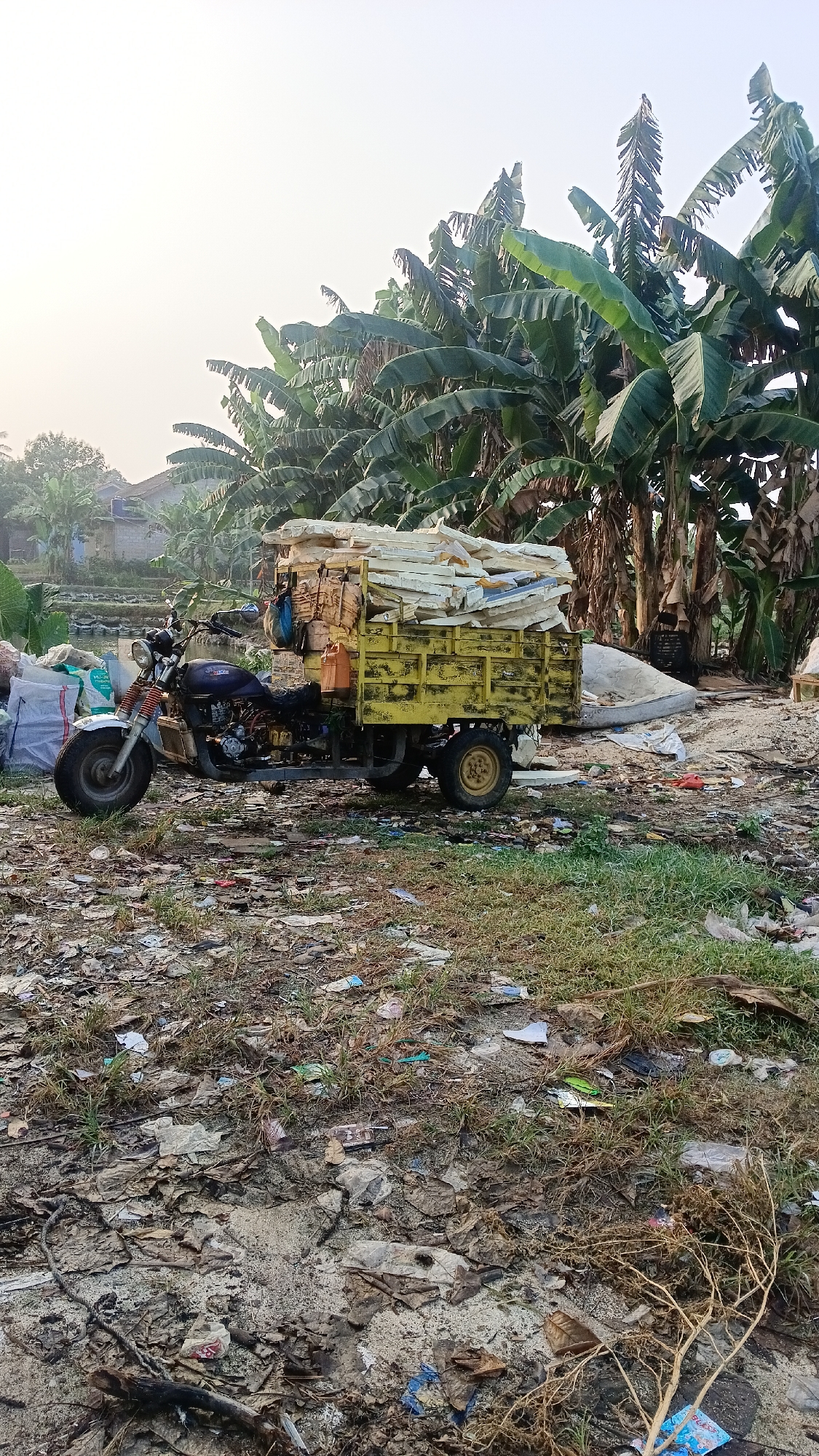 In Parung, Indonesia, a three-wheeled vehicle, possibly a modified motorcycle with a trailer, is parked on a debris-strewn dirt lot. The vehicle's trailer is filled with what appears to be discarded construction materials, possibly styrofoam or insulation, stacked high. Behind the vehicle, a dense grove of banana trees dominates the background, with their large leaves creating a lush canopy. The ground is covered in a mixture of dry leaves, grass, and various types of litter, suggesting an area that is either a junkyard, a waste collection point, or a neglected rural landscape. The sky above is hazy and bright, indicating either early morning or late afternoon light. The overall scene conveys a sense of disarray and the presence of discarded materials.
