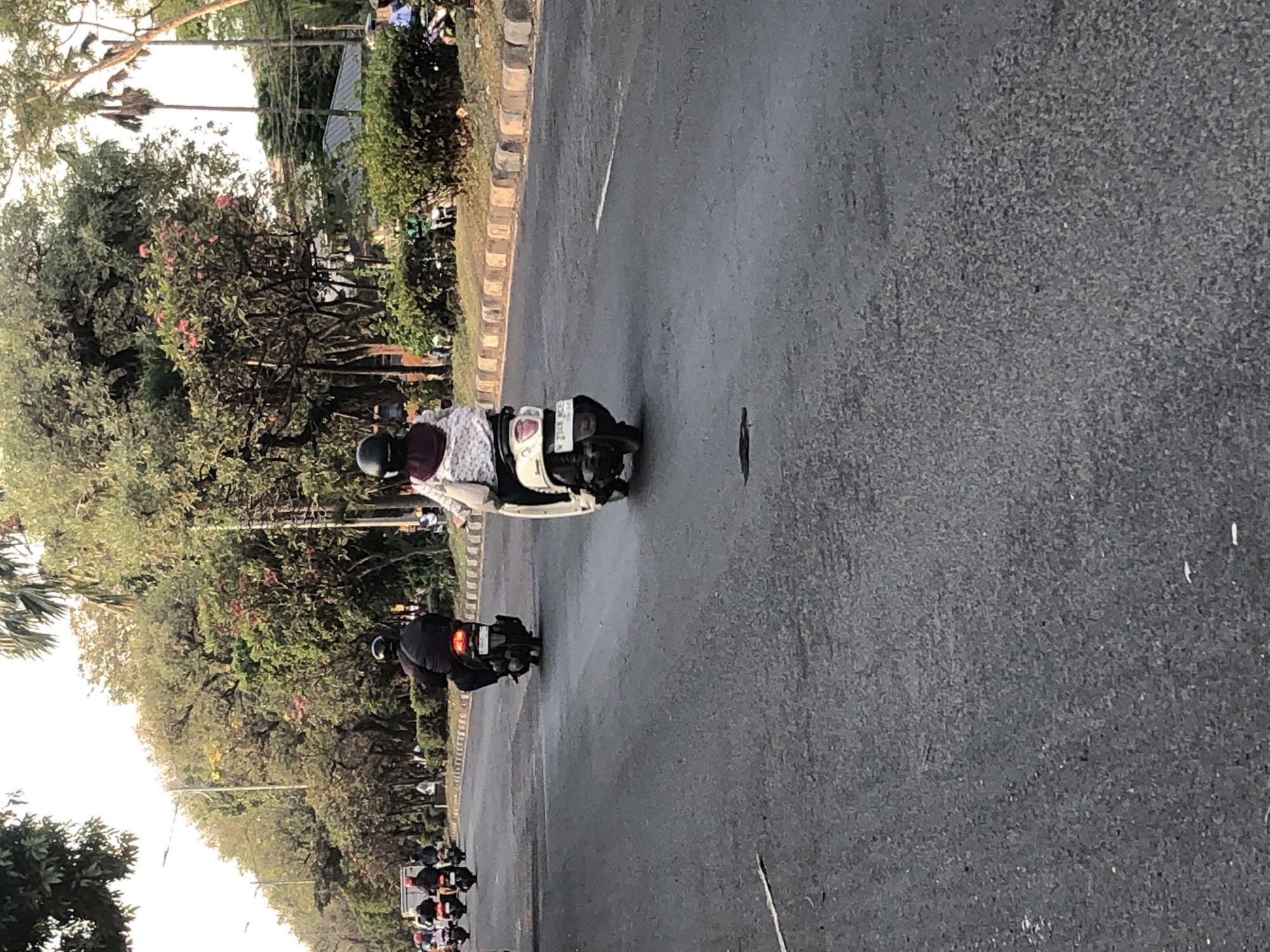 A group of motorcycles and scooters are traveling along a paved road lined with trees and shrubs. The road has a light-colored curb and a white line marking the lane. In the foreground, a person wearing a helmet and a patterned shirt rides a white scooter. Behind them, another person in a black jacket and helmet rides a dark-colored scooter. Several other scooters and motorcycles are visible in the background, traveling in the same direction. The environment appears to be an urban or suburban area with lush vegetation. The time of day seems to be late afternoon or early evening, given the lighting conditions. There is no specific indication of the location within Ngaban, Indonesia, beyond it being a street scene.