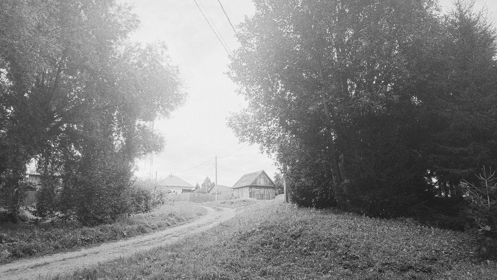 The image depicts a rural scene, possibly in or around Karsha, Russia, featuring a dirt road winding through a grassy area. On the left, a large tree with dense foliage dominates the foreground. Further into the scene, houses with visible roofs and fences are nestled amongst trees and vegetation. A prominent wooden structure, resembling a small house or shed with a pitched roof, stands centrally on a slight rise, intersected by a dirt path. Power lines stretch across the sky, supported by a utility pole visible to the right of the wooden structure. The overall atmosphere is overcast and somewhat muted due to the black and white photography. The environment suggests a calm, bucolic setting with limited human presence implied by the houses and infrastructure.