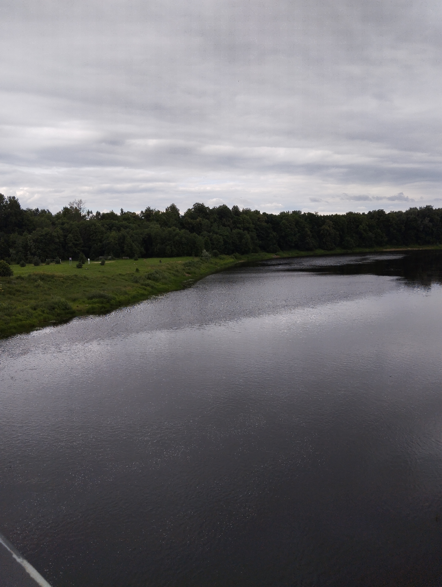 This is an eye-level, medium shot of a wide, dark river flowing in front of a lush green bank lined with dense, dark green trees under a heavily overcast, gray sky. The river occupies the majority of the frame, its surface disturbed by small ripples that reflect the muted light. On the left bank, a strip of vibrant green grass is visible, dotted with a few scattered trees and bushes. In the distance, a line of tall, mature trees forms a solid wall of foliage, obscuring any view beyond. The sky is a uniform sheet of gray clouds, suggesting a cool, possibly damp day. There are no people or animals visible in the image. The scene is a natural landscape, devoid of any man-made structures or prominent man-made features, suggesting a relatively undeveloped area. This landscape appears consistent with the banks of the Luga River in or around Kingisepp, Russia, known for its wide, slow-moving waters and surrounding forests.