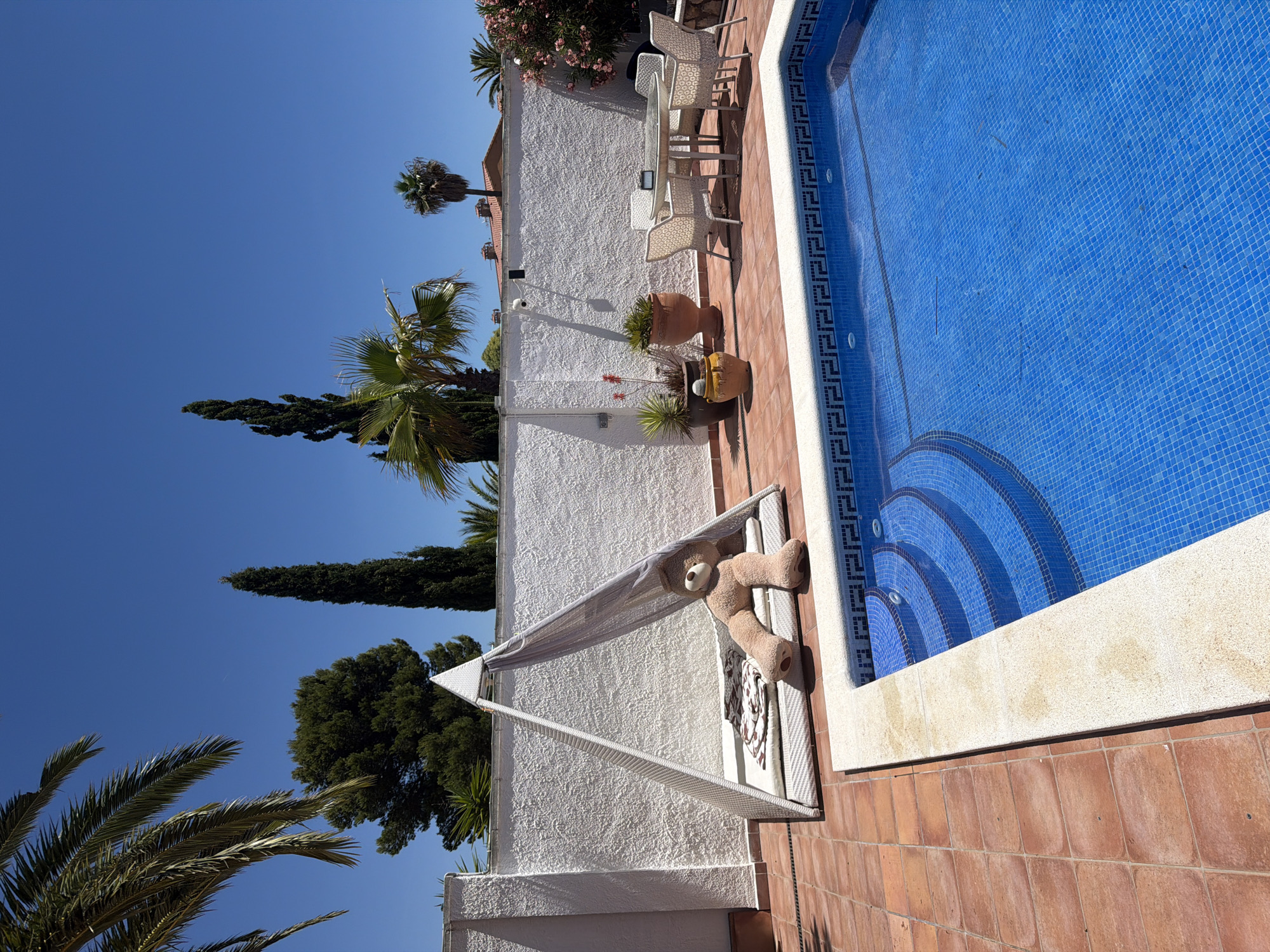 This is a photograph of a backyard swimming pool area in Mont-roig del Camp, Spain. The pool is filled with bright blue water and features tiled steps. The surrounding patio is paved with terracotta tiles. To the left of the pool, there is a white triangular cabana with a light-colored mesh covering and a large, tan teddy bear sitting on a cushion inside. In the background, there is a white textured wall, potted plants, a dining table with chairs, and several trees, including palm trees and tall, slender evergreens. The sky is clear and blue, indicating a sunny day.