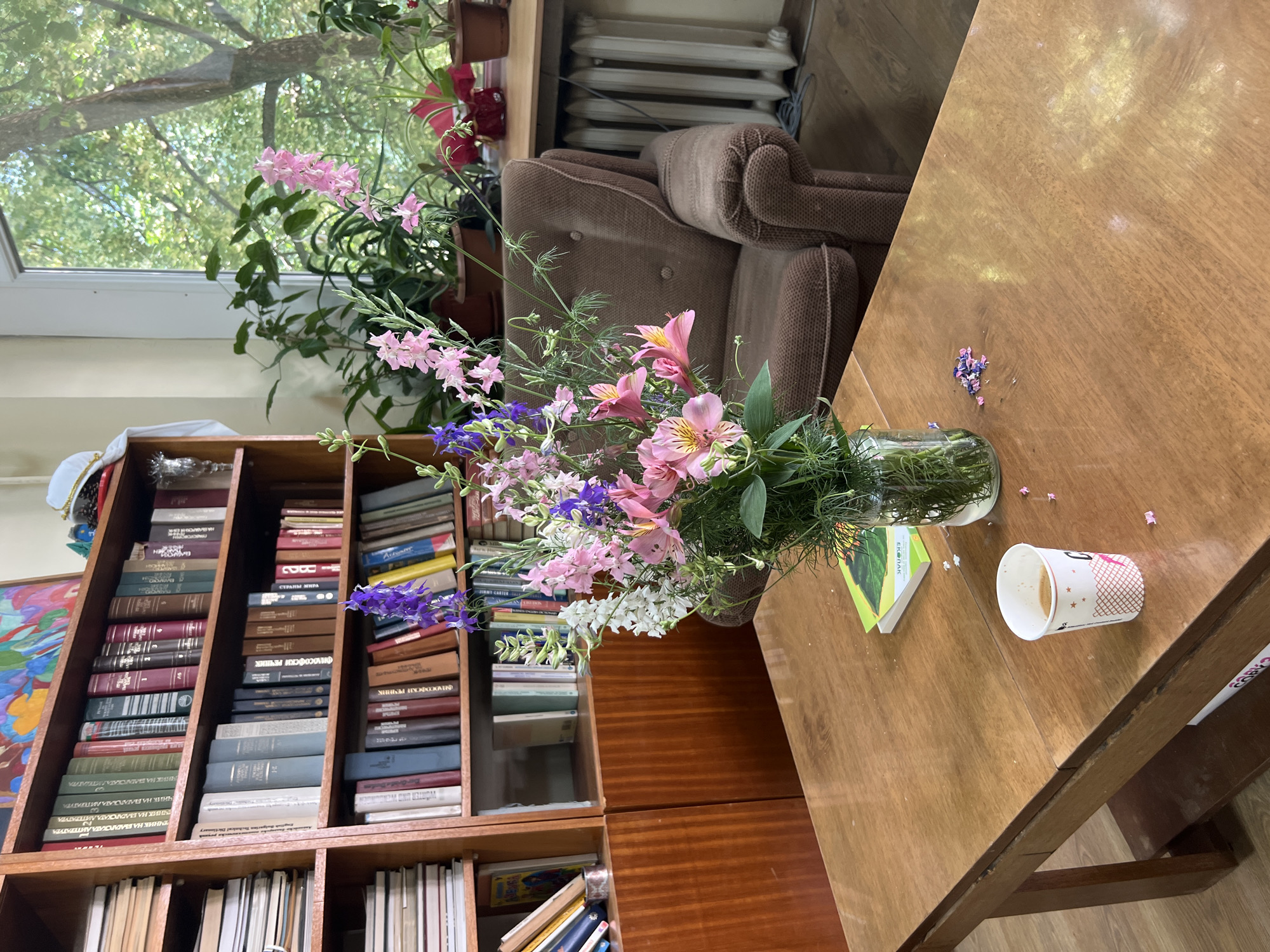 A still life photograph captures the interior of a room, possibly a library or study, in Pravets, Bulgaria. The foreground is dominated by a wooden table with a slightly worn, polished surface. On the table, a glass vase holds a vibrant bouquet of pink and purple flowers, a few small dried flower petals are scattered nearby. To the right of the vase is a paper coffee cup, partially filled with a dark liquid, showing a portion of its white and pink patterned exterior. Behind the table, a plush brown armchair is situated near a window. Beyond the armchair, a radiator is visible. A tall wooden bookshelf filled with numerous books stands to the left of the armchair and table. The books are of various sizes and colors, with some spines displaying Cyrillic text. Above the books, a colorful painting hangs on the wall. The window offers a view of lush green trees outside, suggesting an outdoor environment with abundant foliage. The overall impression is one of a tranquil and lived-in space.