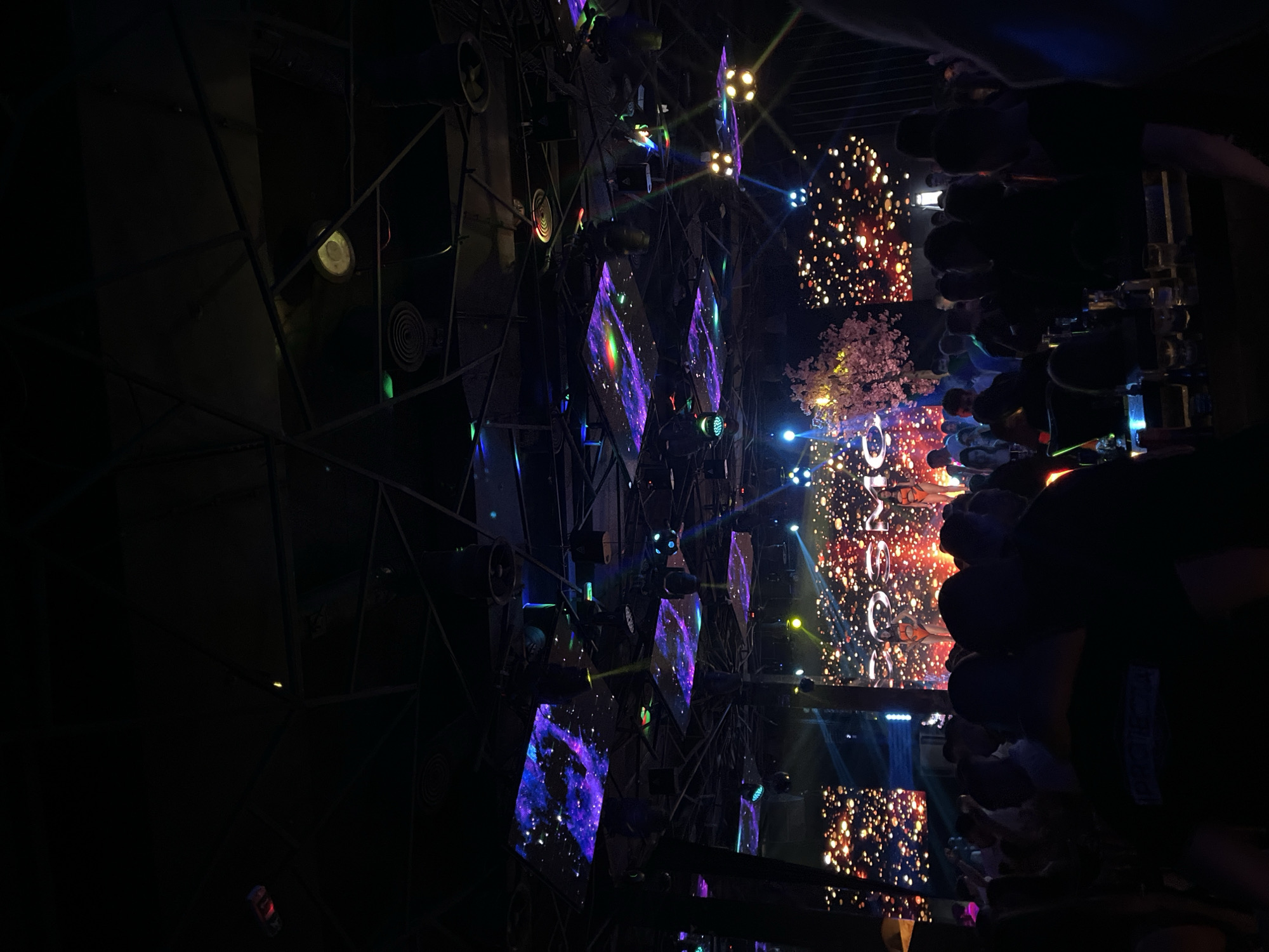 The image depicts a concert stage setup, viewed from the audience perspective. The stage features a complex framework of metal structures supporting various lighting fixtures, screens displaying abstract visuals, and decorative elements resembling flowering branches. The screens show vibrant, swirling colors, adding to the immersive atmosphere. A crowd of people, silhouetted in the foreground, raises their hands, indicating their engagement with the event. The image is likely taken at a live music performance or festival. Location details, specifically, the city of Plovdiv, Bulgaria, are not readily discernible from the image itself.