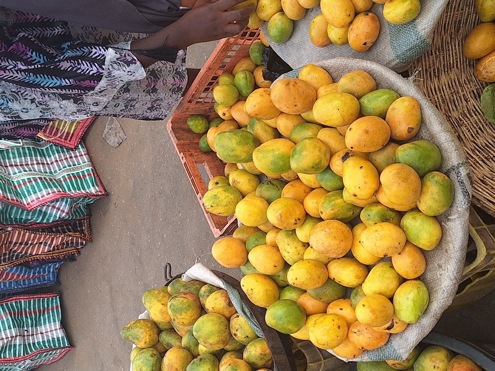 The image, taken in Sabon Tasha, Nigeria, depicts a vendor selling mangoes. Several baskets and a plastic crate overflow with mangoes, varying in color from green to yellow-orange. A person's hand is reaching into the crate. Beside the mangoes are folded textiles or clothes in various patterns and colors stacked on the ground. The scene appears to be outdoors, likely a market or roadside stall.