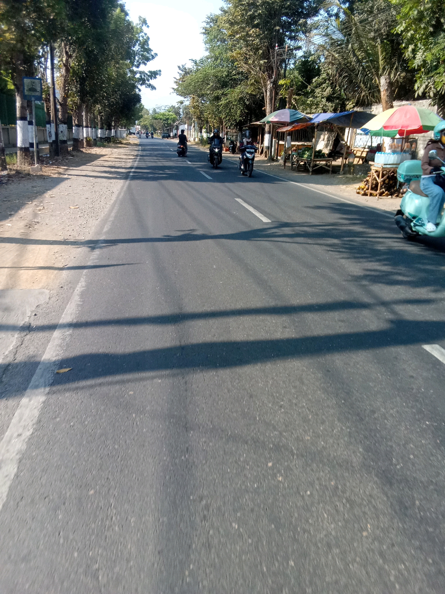 This is a vertical, medium-shot, eye-level photograph taken on a sunny day, likely in the afternoon, capturing a scene on a two-lane road in Ajung, Indonesia. The road appears to be paved with asphalt and features white lane markings. The perspective suggests the photo was taken from a moving vehicle.
On the left side of the road, there is a dirt shoulder with gravel and sand, lined by a row of trees with lush green foliage. The trunks of some trees are painted with black and white bands, possibly for visibility or as a decorative element. A white sign with a blue symbol is mounted on a pole near one of these trees.
On the right side of the road, there are several makeshift stalls or stands with colorful umbrellas providing shade. These stalls appear to be selling goods, with some crates of what look like coconuts or similar produce visible. A few people are present, including one person on a light blue scooter in the foreground, wearing a helmet with a blue visor. Another person on a scooter is visible further back, also wearing a helmet.
Several other motorcycles are on the road, with riders in motion. The scene is bathed in sunlight, casting long shadows of trees and possibly power lines across the road and the left shoulder. The overall atmosphere is one of a typical roadside scene in a tropical or subtropical urban or semi-urban environment, with ongoing traffic and local commerce.