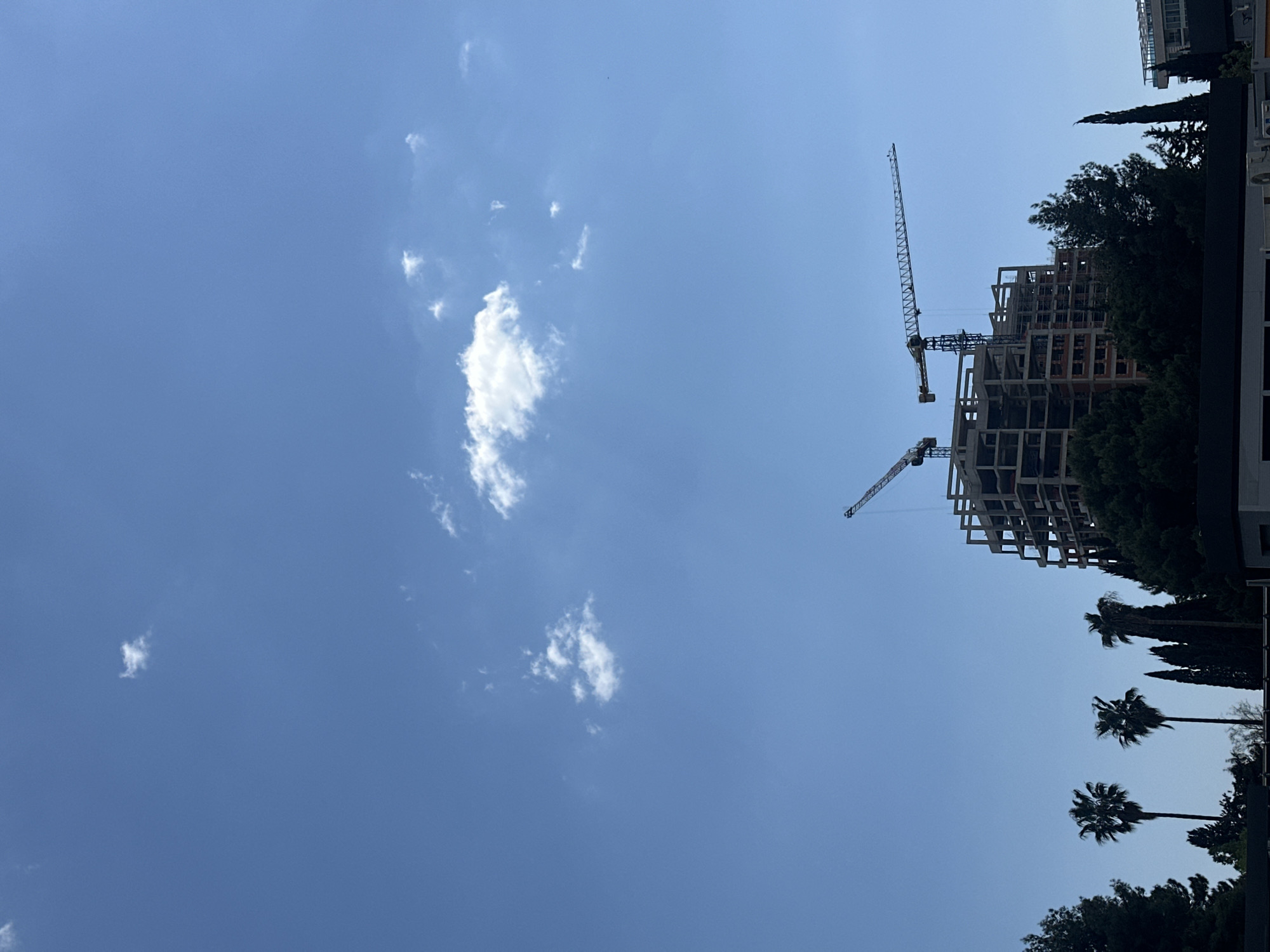 The image, taken during daytime, primarily captures a bright, clear blue sky with scattered white, cumulus clouds. The majority of the frame is dominated by this sky.
On the right side of the image, a multi-story building is under construction, its concrete structural skeleton prominently visible. Two large tower cranes, one positioned above the other, extend from or beside this unfinished building into the blue sky. Below and to the right of the construction site, a dense line of green trees, including several tall palm trees and various conifers, forms a natural barrier, obscuring the ground level. Small portions of what appear to be finished buildings are visible at the far top-right and bottom-left edges of the frame.
The weather appears sunny and calm, with the clouds providing subtle texture to the otherwise expansive blue sky. The presence of construction equipment and the unfinished building suggests ongoing urban development in the area, which is consistent with Budva, Montenegro. There are no people visible, nor any discernible text.