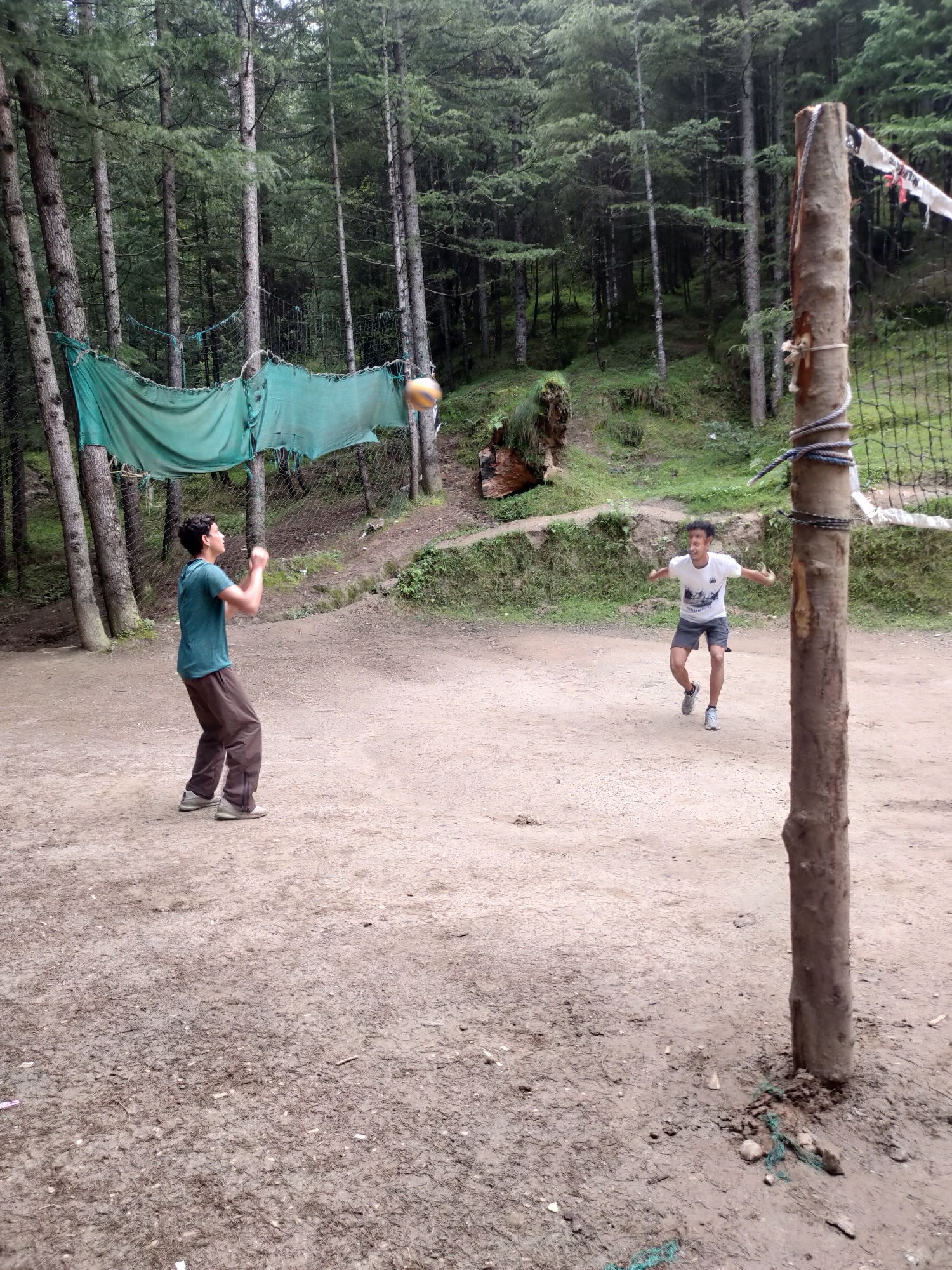 In Siyal, India, two young men are playing volleyball on a dirt court surrounded by tall pine trees. A volleyball is suspended in the air, in motion. One man, wearing a teal t-shirt and brown pants, is positioned on the left side of the court, with his arms raised as if to hit the ball. The other man, in a white t-shirt and dark shorts, stands on the right, his arms outstretched, possibly anticipating the ball. A volleyball net, strung between two posts, one made of wood and the other seemingly a tree trunk, divides the court. A green tarp is draped over a section of the net. The ground is covered with dirt, scattered pine needles, and small stones. The background consists of a dense forest with a path winding uphill.