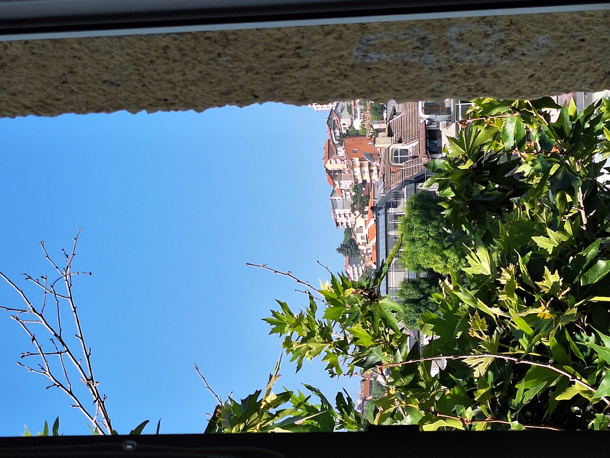 The image depicts a view from a window looking out onto a residential area with a clear blue sky overhead. In the foreground, lush green foliage from trees obscures parts of the view. A textured, light-colored stone wall is visible on the right side, framing the scene. Beyond the foliage, a cluster of buildings with terracotta roofs and a mix of architectural styles are visible on a hillside. The buildings appear to be multi-story residential structures. The overall impression is a sunny day in an urban environment, likely in Varna, Bulgaria, given the prompt's context. No people or animals are clearly visible in the image.