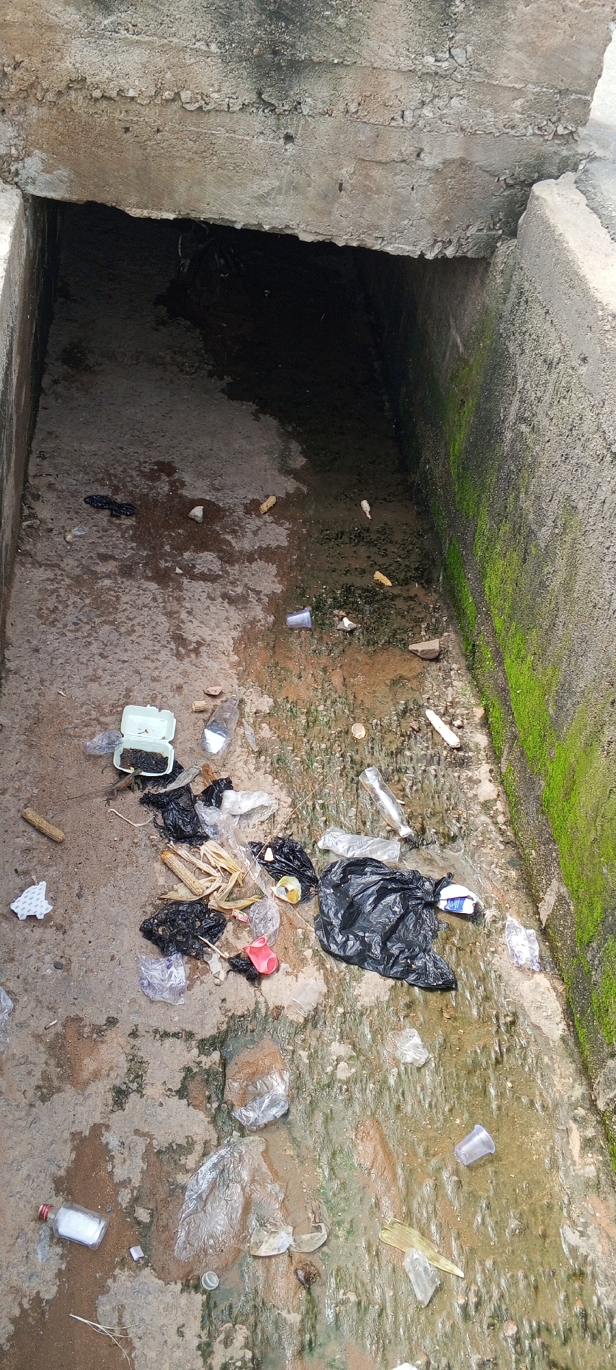 This is a forensic, matter-of-fact description of a scene in Jalingo, Nigeria. The image depicts a concrete drainage channel filled with stagnant water and a significant amount of refuse. The channel appears to be open at the top, leading into a darker, submerged area. The walls of the drainage are stained and covered in green moss, indicating a lack of regular maintenance. Scattered throughout the channel are various items of trash, including black plastic bags, discarded corn husks, plastic bottles and cups, and other unidentifiable debris. The ground is wet and muddy, with some areas of standing water. There is no evidence of human presence or recent activity. The overall impression is one of neglect and environmental pollution.
