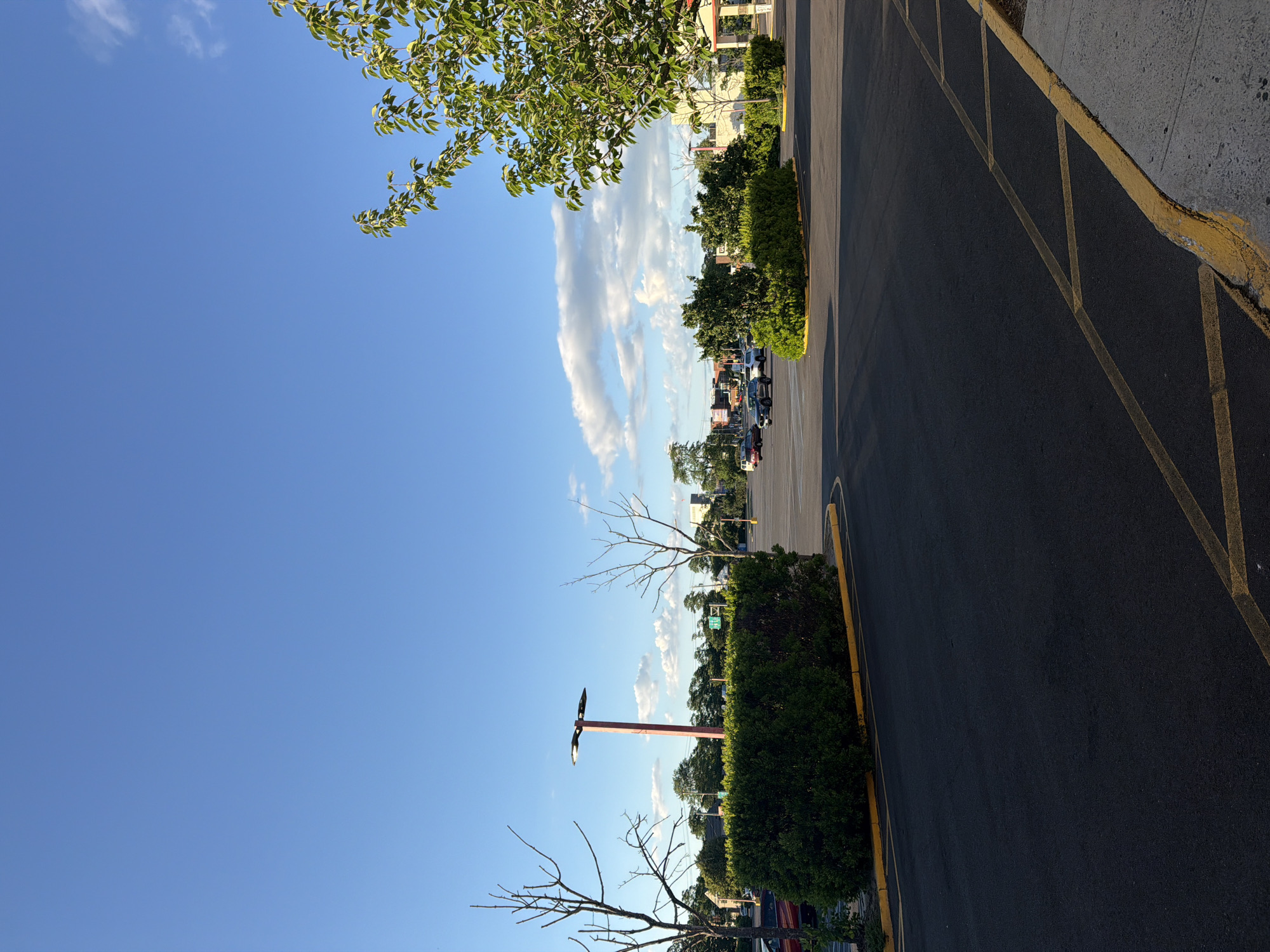 A medium shot captures an outdoor parking lot on a clear day in Riverhead, United States of America. The sky is a vibrant blue, with scattered white clouds. In the foreground, a dark asphalt surface is marked with yellow lines, indicating parking stalls and a yellow curb. To the left, a manicured green hedge runs along the edge of the parking lot. A tall lamppost with a modern fixture stands behind the hedge. Two bare trees, likely deciduous, with branching limbs are positioned on either side of the lamppost. In the mid-ground, several cars are parked in the lot, and more trees and buildings are visible in the distance, suggesting an urban or suburban setting. A tree with green leaves is prominently featured in the upper right corner of the frame.