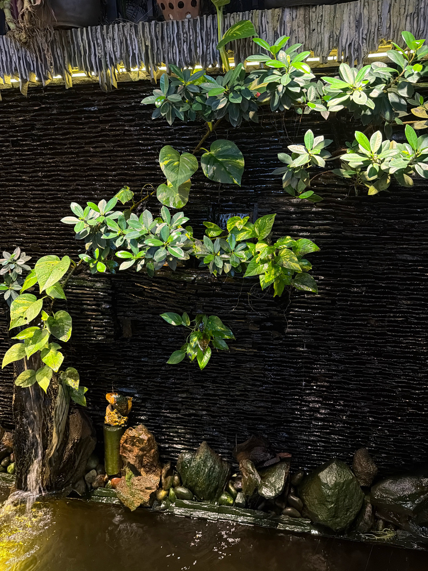 This image depicts a water feature with a textured black stone wall behind it. Lush green plants, including some with variegated leaves, grow down from the top and cascade along the wall. At the bottom left, a small waterfall flows into a dark body of water, surrounded by rocks and what appears to be a wooden element. In the bottom center, a small decorative figurine, possibly a golden animal, sits atop a green cylindrical object, with various rocks and mossy textures nearby. The scene is illuminated by warm, artificial lighting positioned along the top of the stone wall, casting reflections on the wet surfaces. The overall impression is one of a tranquil, decorative garden element, likely situated in a resort or a well-maintained outdoor space in Phú Quốc, Vietnam.