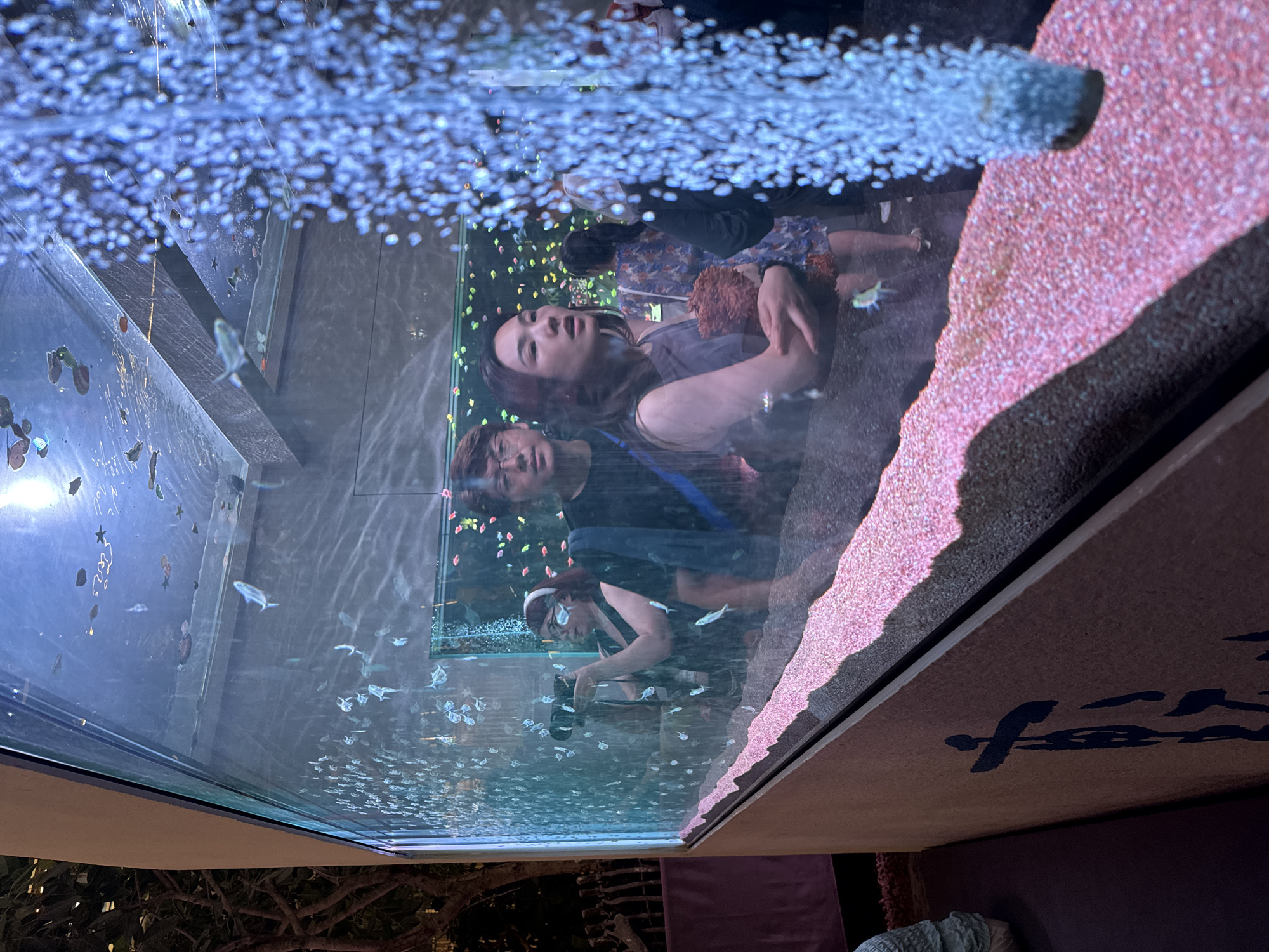 A group of people observe a large aquarium filled with small fish and vibrant pink gravel. In the foreground, a column of bright blue bubbles rises from the bottom of the tank. A woman in a dark sleeveless dress and glasses is captured in the act of taking a photograph inside the aquarium with a DSLR camera. Next to her, a man with glasses and dark hair appears to be looking towards the aquarium. Further back, another woman in a floral-print dress is visible. The aquarium is situated in a well-lit indoor environment, possibly a public space or entertainment venue. The aquarium glass reflects the surroundings and the people in front of it.