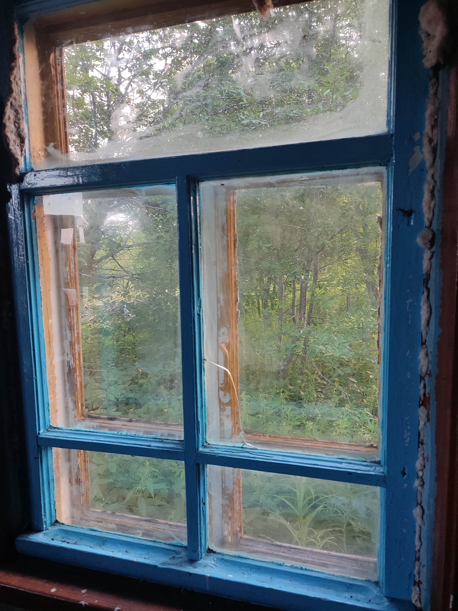 This media file shows a view through a grimy, old, blue-painted wooden window. The window is divided into four panes by wooden mullions. The glass is clouded and dirty, obscuring the view of the scene outside. Through the glass, a dense green forest is visible, with tall trees and undergrowth. The foliage appears lush and healthy, suggesting a warm season. The lighting is diffused, indicating it might be overcast or the sun is low in the sky, possibly dawn or dusk. The window frame itself shows signs of wear and tear. The blue paint is chipped in places, revealing the wood underneath, and some rough, white insulation material is visible along the outer edge of the frame. The wooden sills are also worn, with some scuff marks and dirt. The overall impression is one of a rustic or abandoned setting, possibly a rural dwelling. There are no people or animals visible. The scene evokes a sense of quiet solitude and perhaps a touch of melancholy due to the dilapidated state of the window and the obscured view. No text is visible in the image. The location context of Gremyachinsk, Russia, suggests a possibly remote or northern setting.