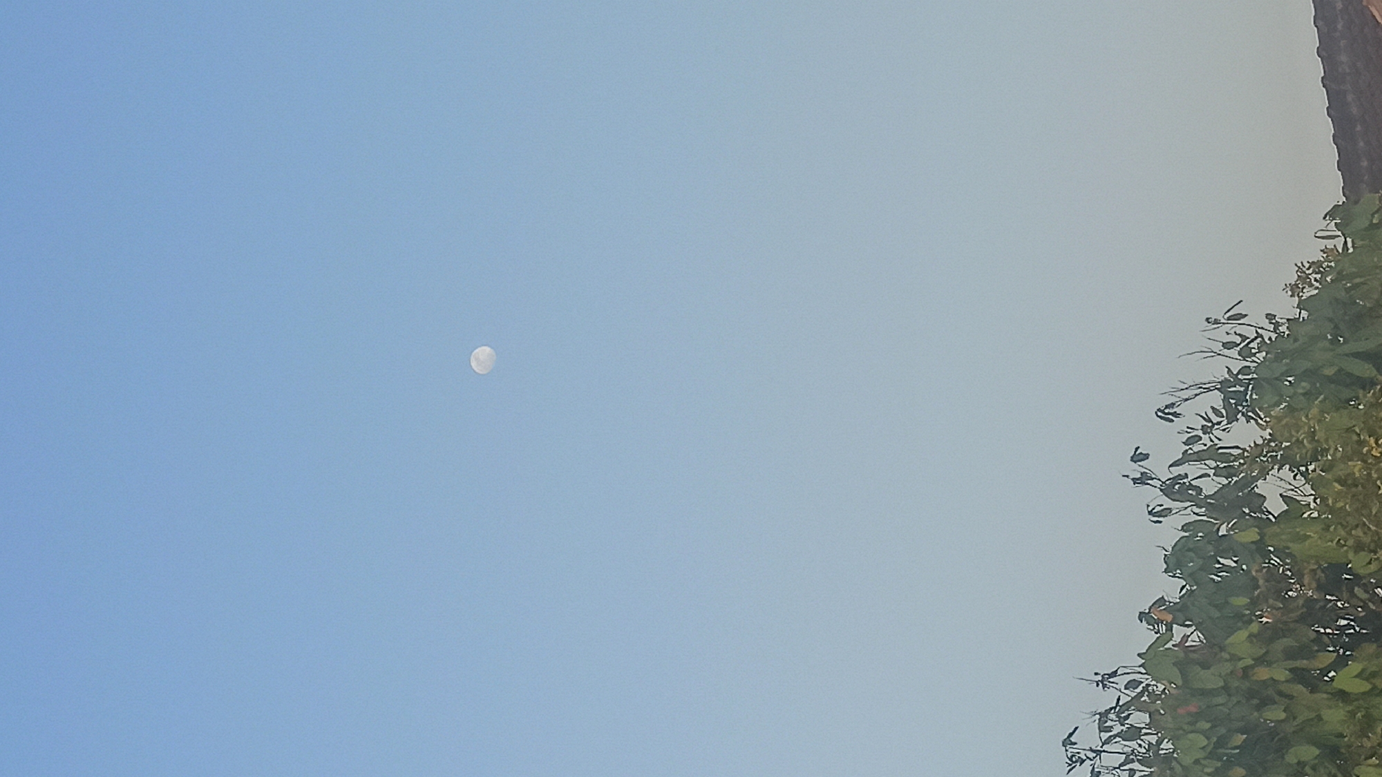 The image shows a pale blue sky with a full moon visible in the upper center. The bottom portion of the image features the tops of green trees and a portion of a brown tiled roof. The scene appears to be an outdoor view, possibly from a residential area, with the moon visible during the daytime. The location is identified as Tuba, Indonesia.