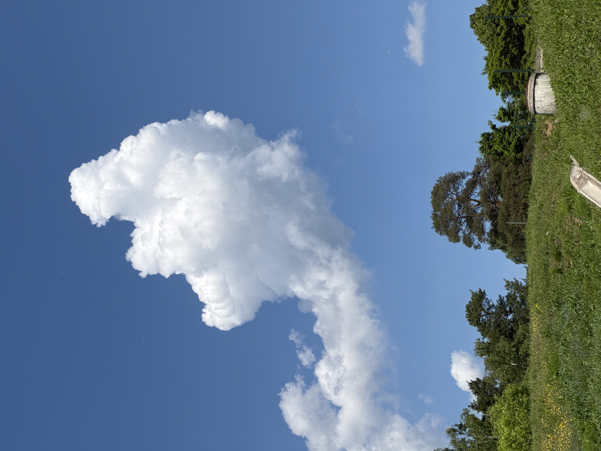 The image captures a vibrant outdoor landscape under a bright blue sky. Dominating the upper and left portions of the frame (when correctly oriented) are large, fluffy white cumulus clouds, varying in shape and size, with one particularly prominent and irregular cloud. The sky is a clear, deep blue, suggesting a sunny day.
Below the sky and clouds, a lush green environment unfolds. A dense line of trees forms a natural boundary, consisting of both dark green coniferous trees and lighter green deciduous foliage. In the foreground and mid-ground, a vibrant expanse of green grass is visible, dotted with small yellow wildflowers.
Several man-made objects are present on the right side of the image, partially integrated into the natural setting. These include a weathered white cylindrical object with dark bands, possibly a large barrel or a section of concrete pipe, and a light-colored, elongated structure, resembling a concrete drainage channel or gutter, partially obscured by grass. A dark green fence is also visible behind some of the trees.
The scene depicts a peaceful and bright daytime setting with pleasant weather conditions. No human figures or specific activities are taking place. There is no visible text in the image. The overall impression is one of natural beauty and tranquility, likely a park, field, or natural area bordering human infrastructure.