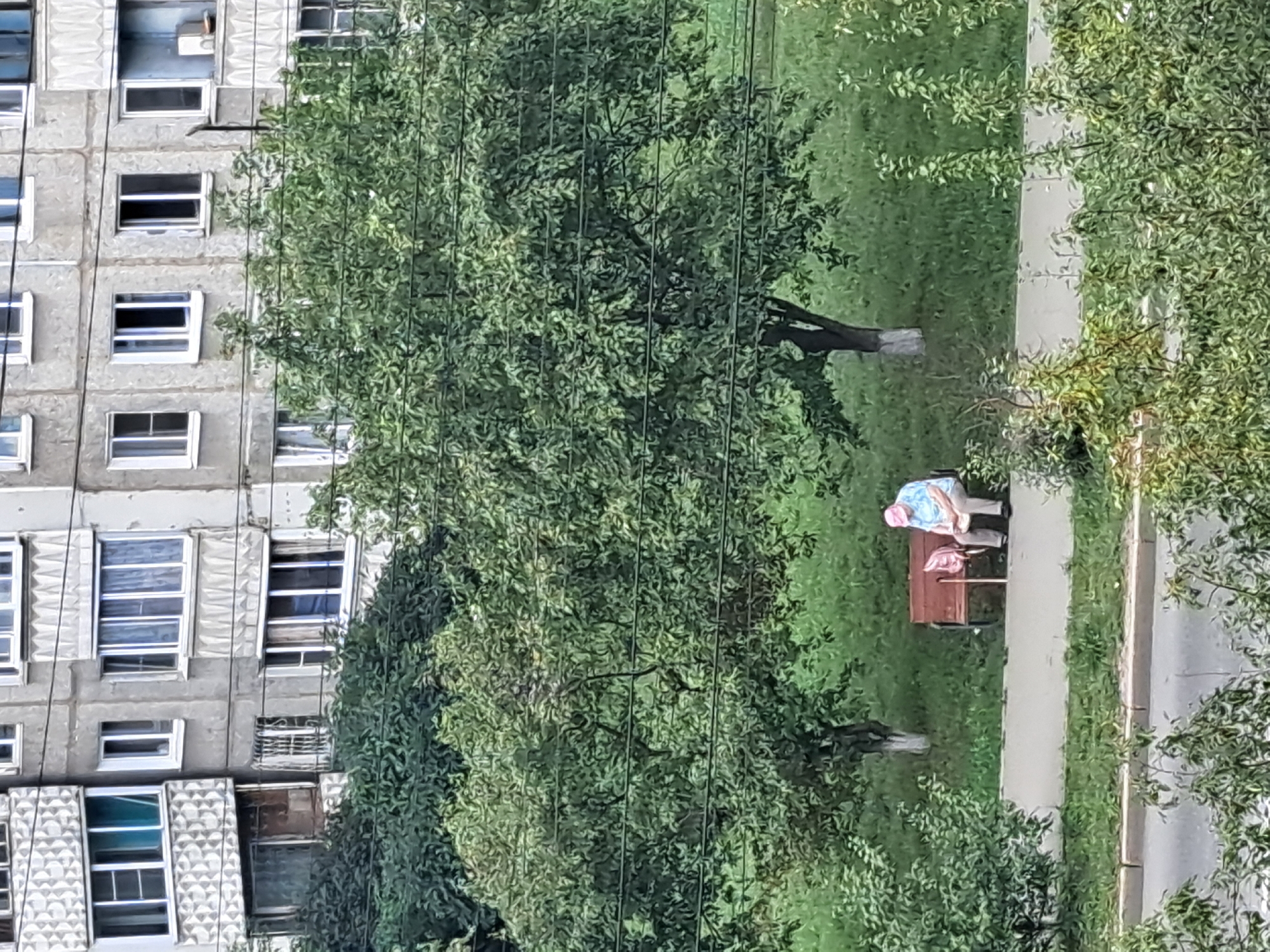 An elderly woman wearing a light blue shirt and pink hat is sitting on a wooden bench. She is on a paved path with a grassy area behind her, where there are trees. A building with multiple windows is visible behind the trees. The scene is likely in Irkutsk, Russia, given the architecture of the building and the presence of deciduous trees typical of the region. The woman appears to be alone and is looking down. A pink bag is on the bench next to her.