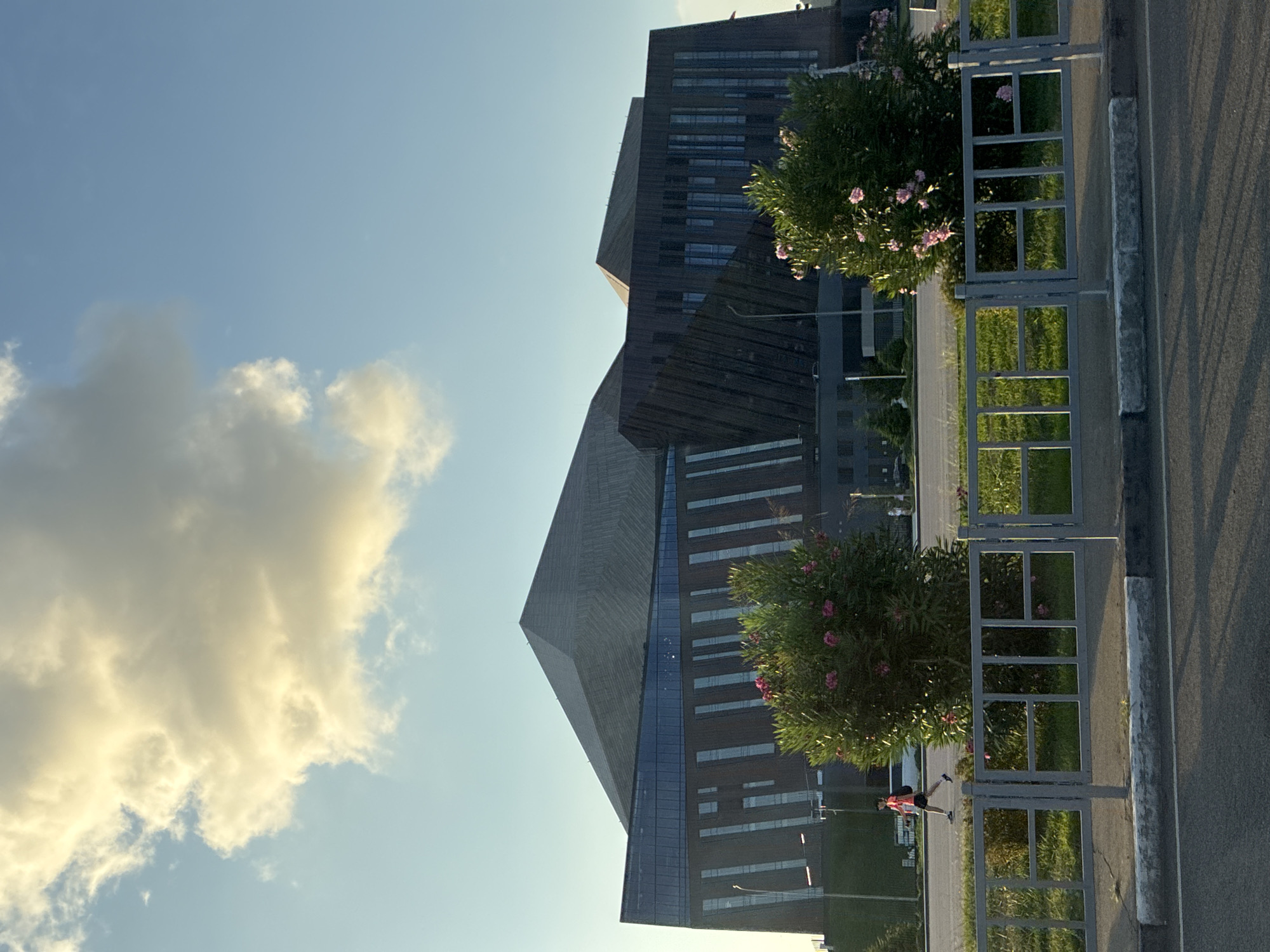 The image shows the Sirius Arena in the city of Sochi, Russia, under a bright blue sky with a large, fluffy cloud. In the foreground, a grey metal fence with rectangular openings runs horizontally across the frame. Beyond the fence, there is green grass and two flowering bushes with pink blossoms. To the left of the bushes, a person is jogging away from the camera, wearing a red shirt and black shorts. In the background, the large, modern Sirius Arena is visible. The building features a distinctive geometric roof design and a facade with vertical dark panels and rows of windows. The overall scene depicts an outdoor setting with a focus on the architecture of the arena and the surrounding park-like environment.